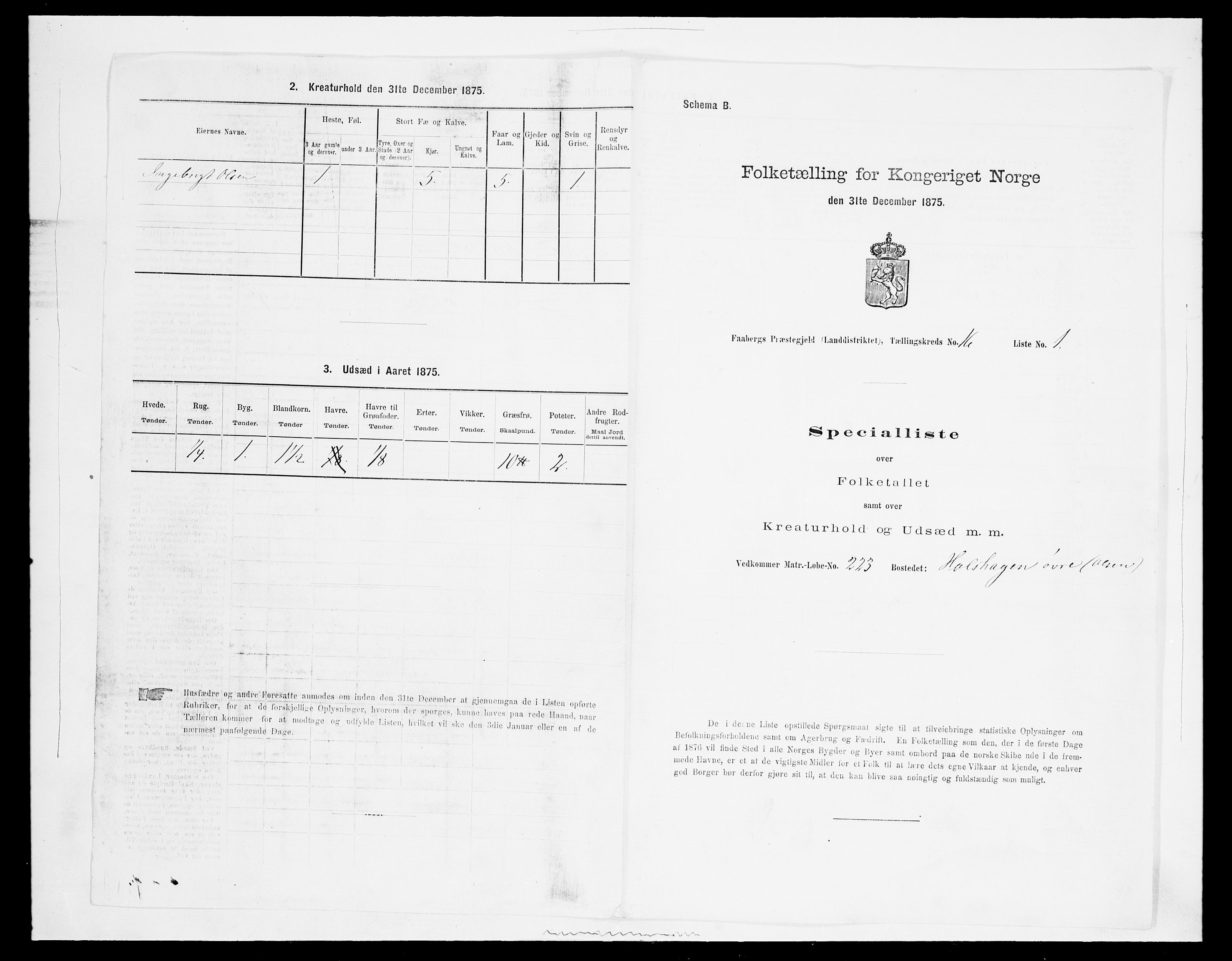 SAH, Folketelling 1875 for 0524L Fåberg prestegjeld, Fåberg sokn og Lillehammer landsokn, 1875, s. 1916