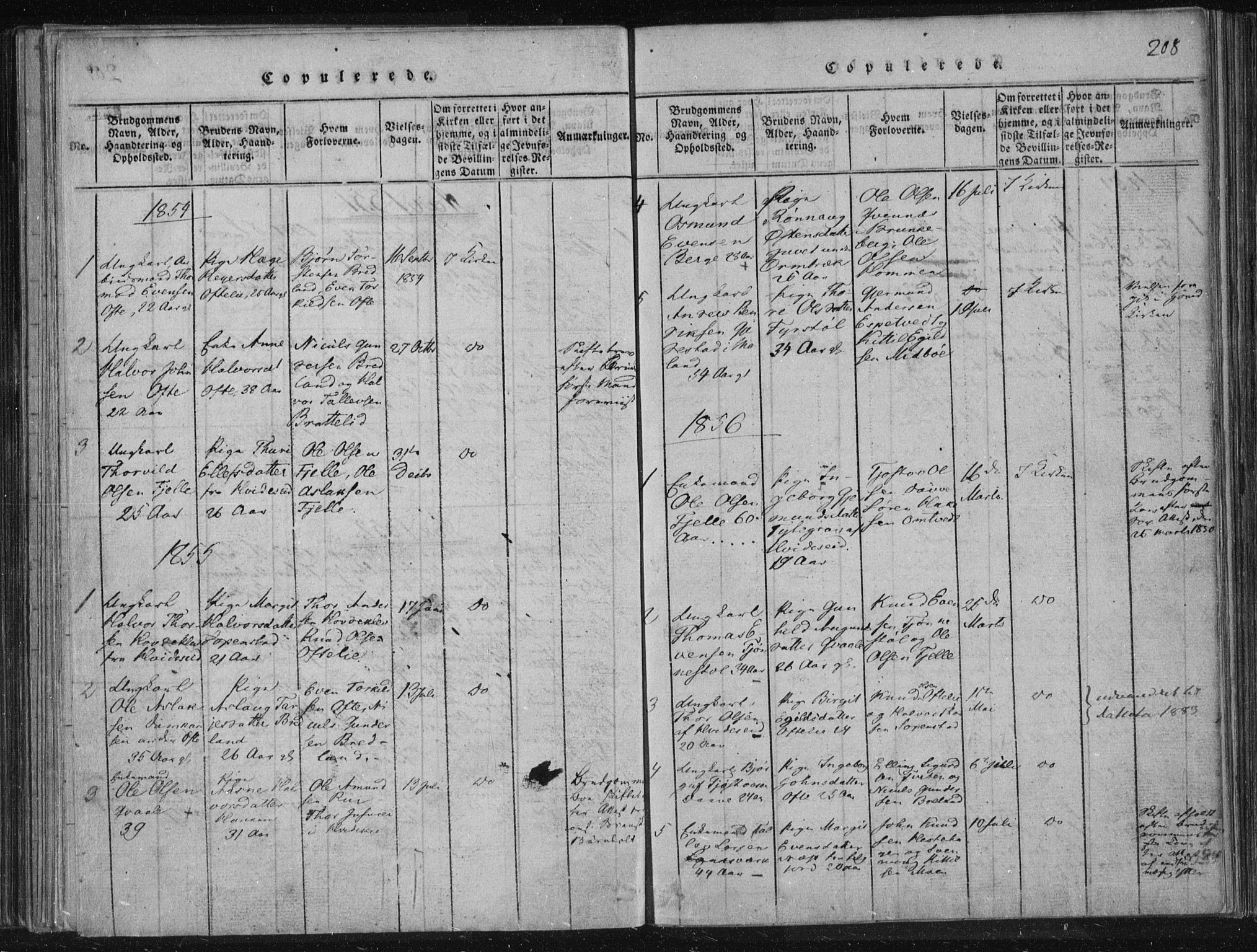 Lårdal kirkebøker, SAKO/A-284/F/Fc/L0001: Ministerialbok nr. III 1, 1815-1860, s. 208
