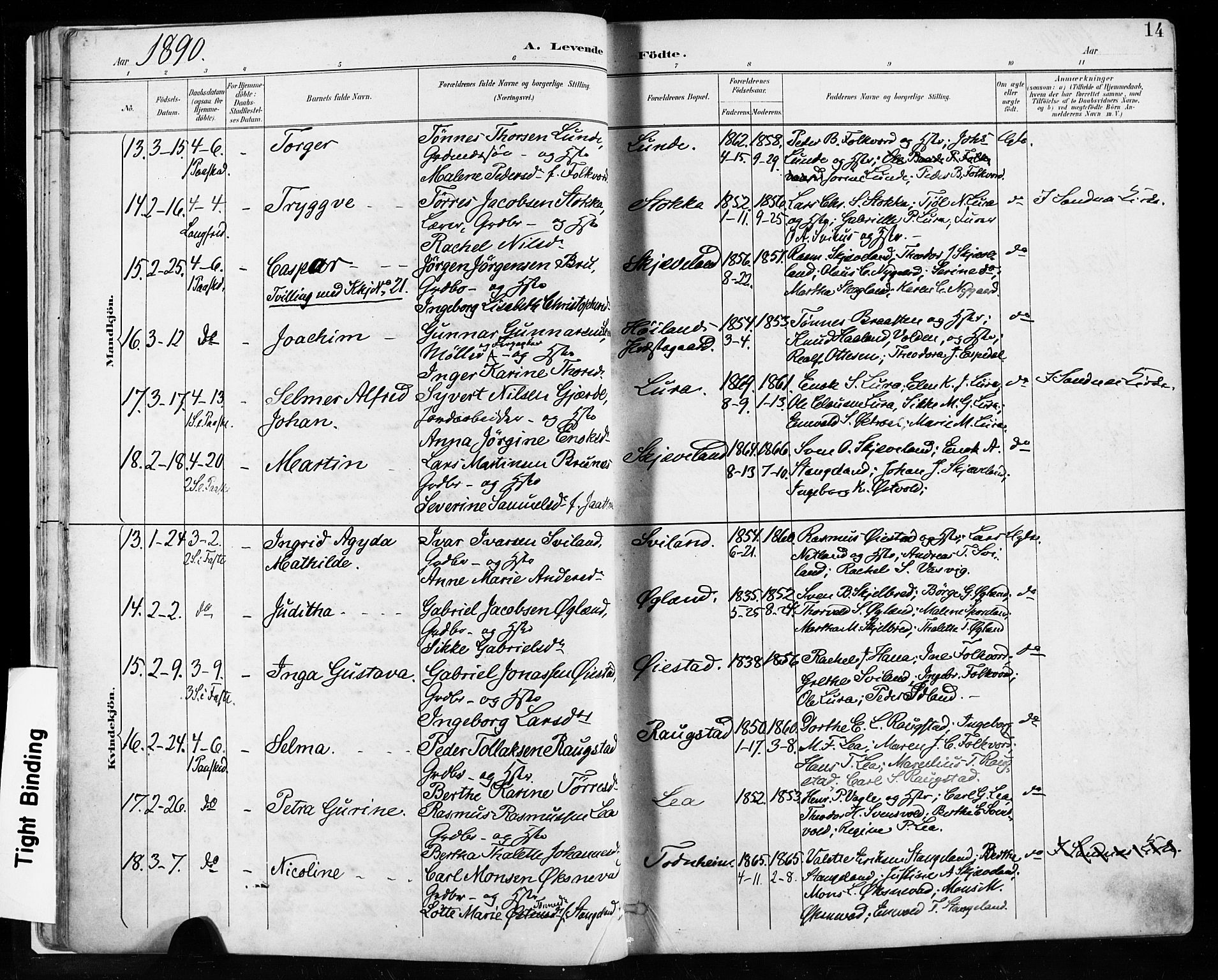 Høyland sokneprestkontor, AV/SAST-A-101799/001/30BA/L0013: Ministerialbok nr. A 13.1, 1889-1898, s. 14