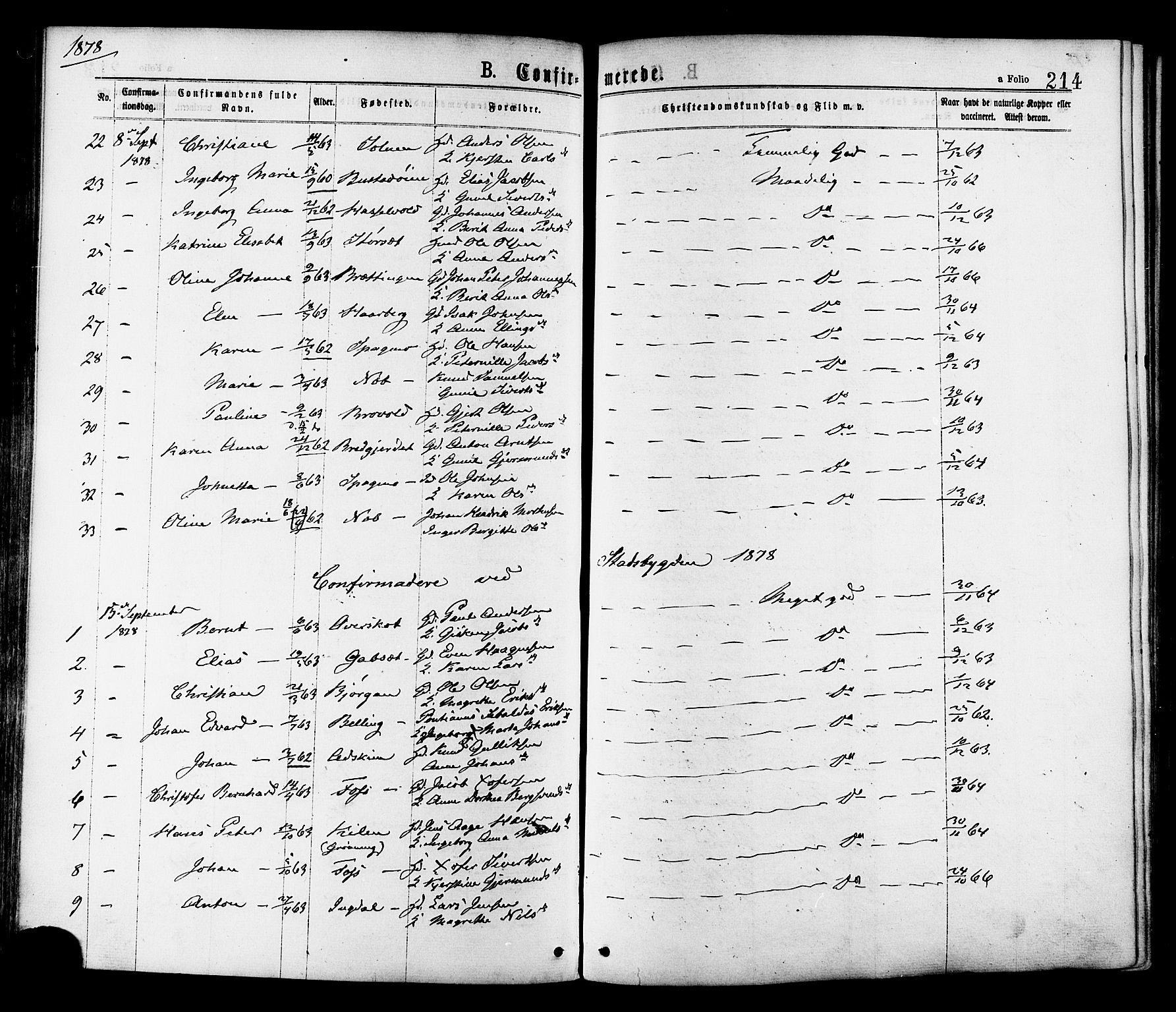 Ministerialprotokoller, klokkerbøker og fødselsregistre - Sør-Trøndelag, SAT/A-1456/646/L0613: Ministerialbok nr. 646A11, 1870-1884, s. 214
