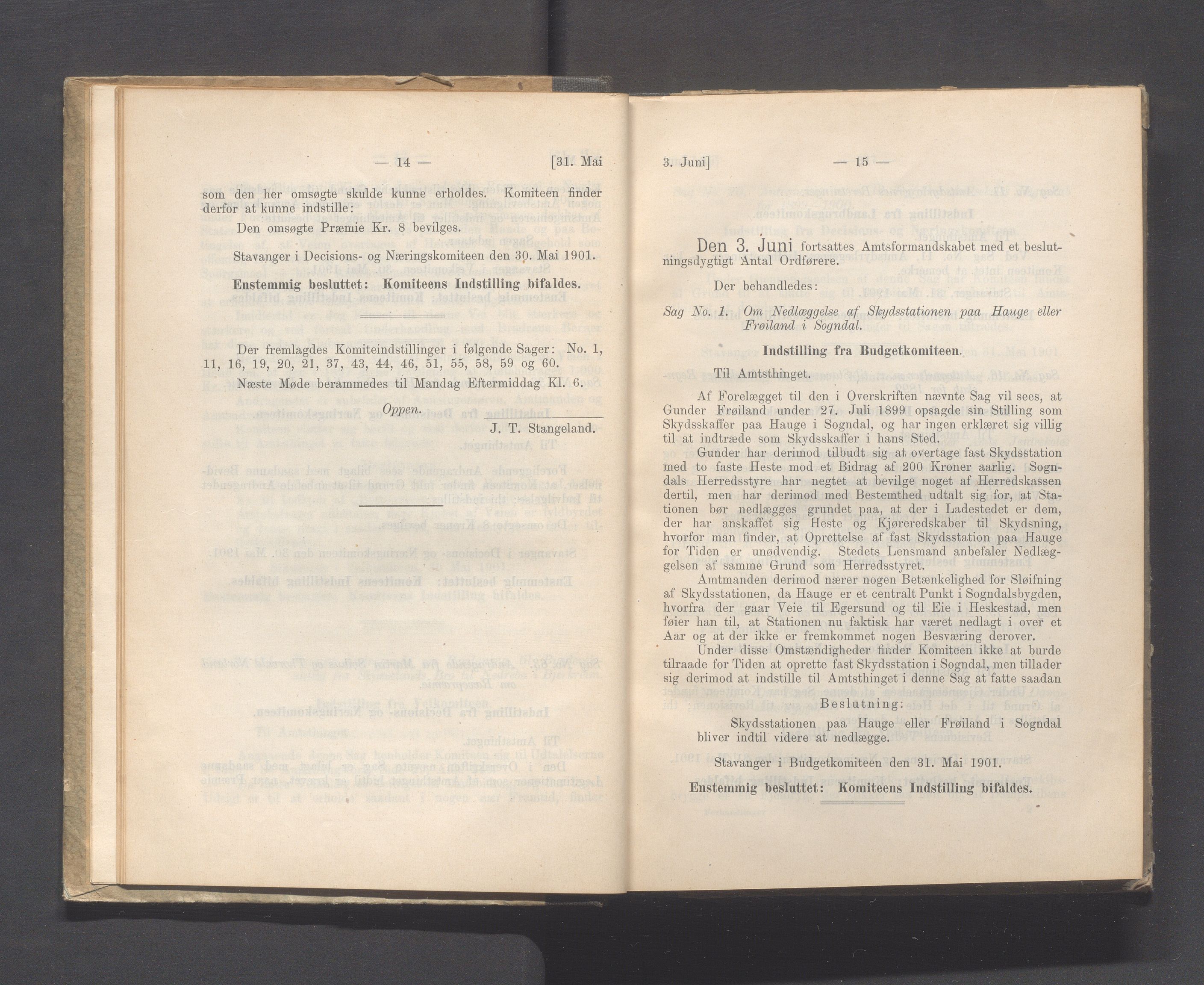 Rogaland fylkeskommune - Fylkesrådmannen , IKAR/A-900/A, 1901, s. 13