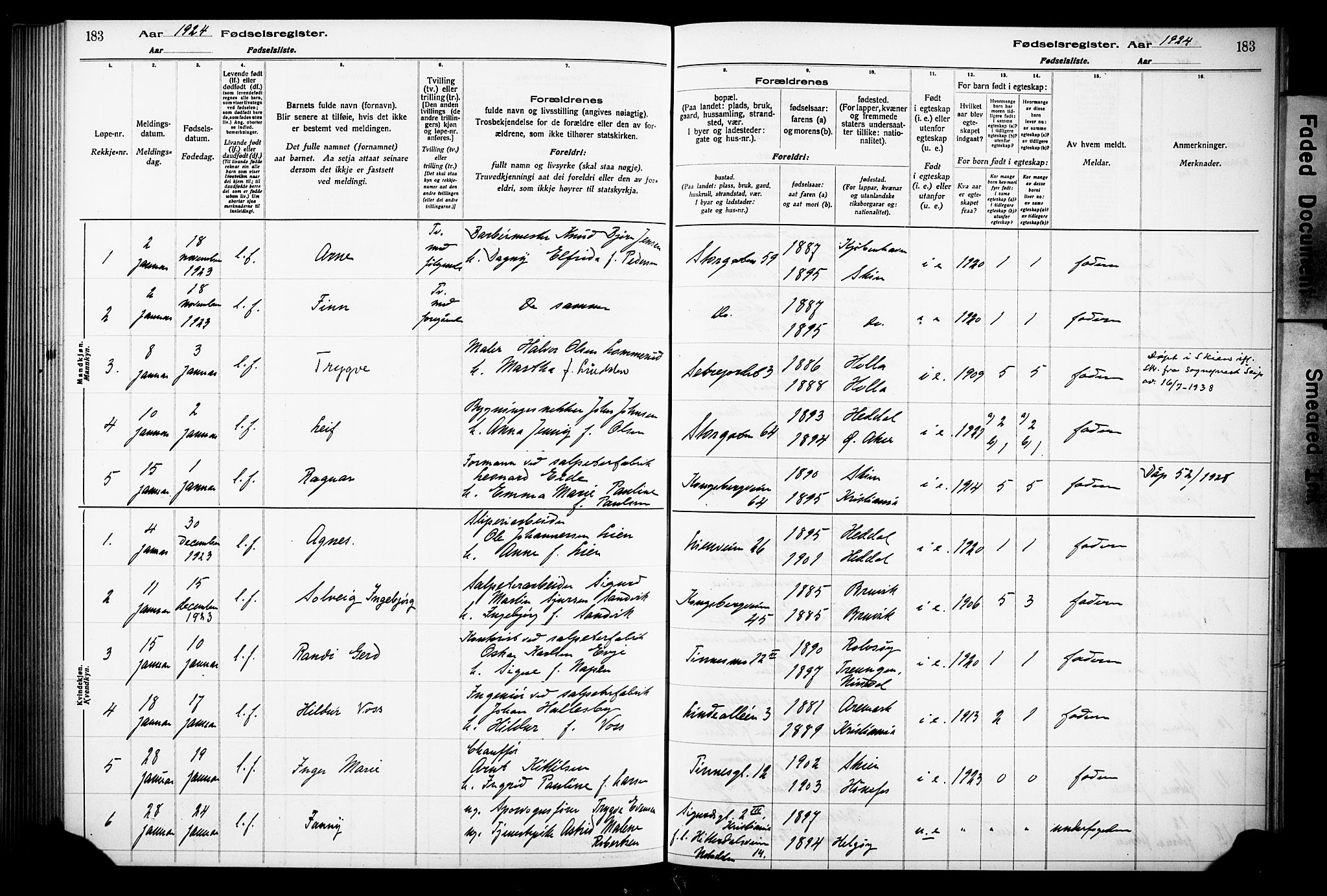 Notodden kirkebøker, AV/SAKO-A-290/J/Ja/L0001: Fødselsregister nr. 1, 1916-1924, s. 183