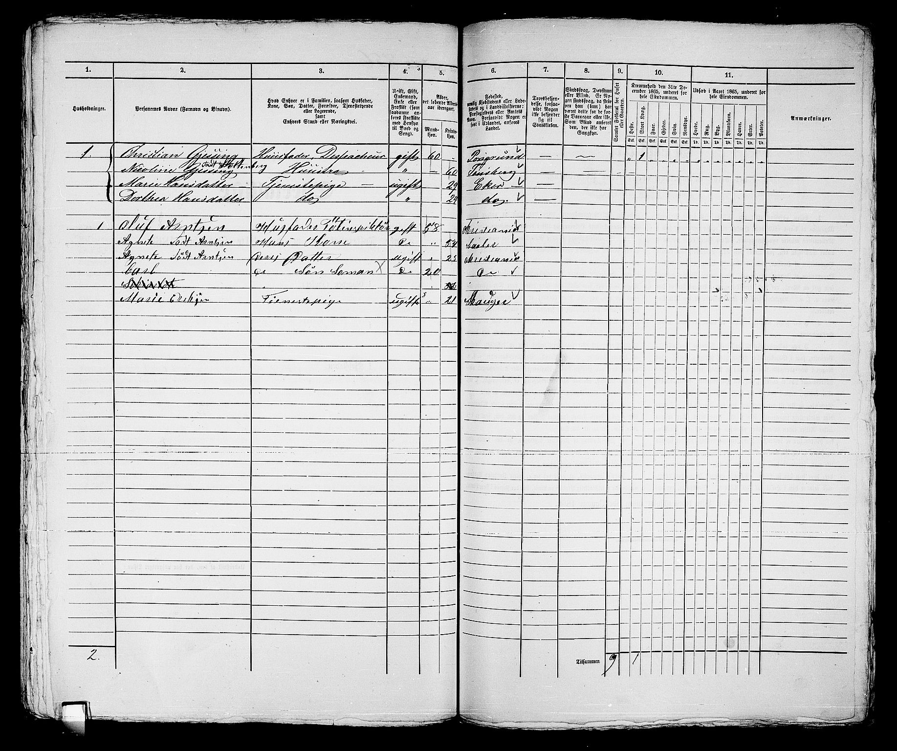 RA, Folketelling 1865 for 0602bP Strømsø prestegjeld i Drammen kjøpstad, 1865, s. 528