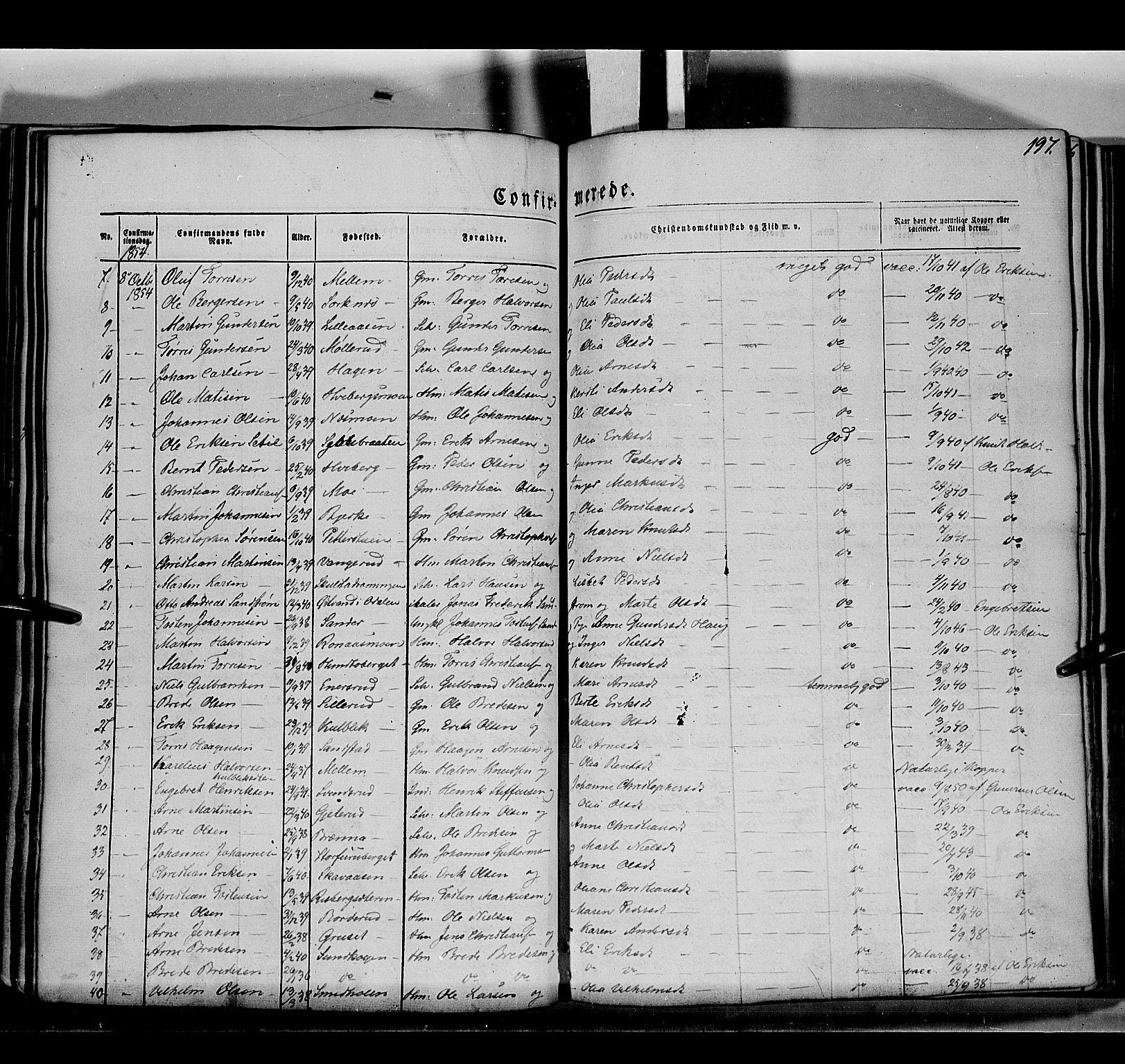 Grue prestekontor, AV/SAH-PREST-036/H/Ha/Haa/L0008: Ministerialbok nr. 8, 1847-1858, s. 197