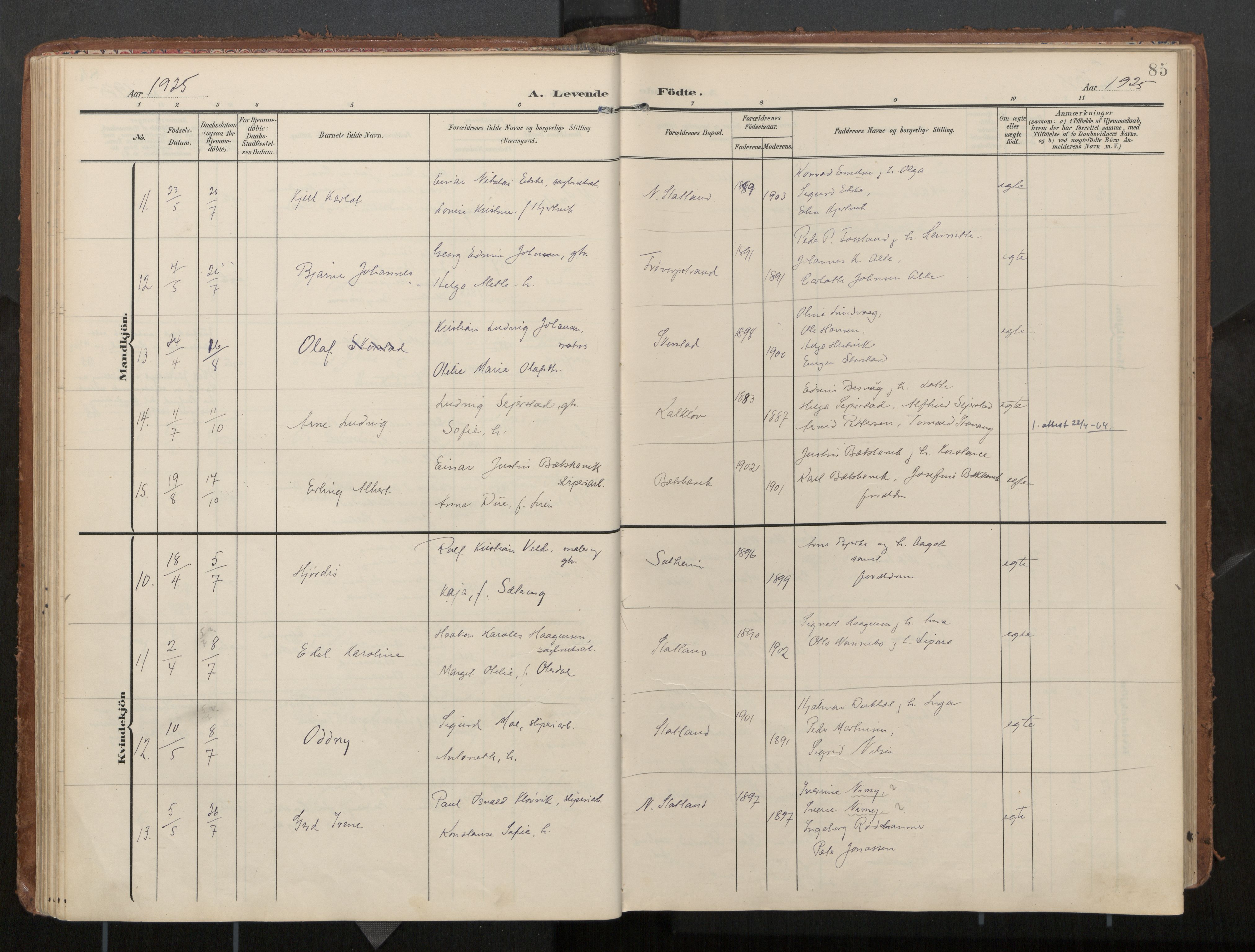 Ministerialprotokoller, klokkerbøker og fødselsregistre - Nord-Trøndelag, AV/SAT-A-1458/774/L0629: Ministerialbok, 1904-1926, s. 85