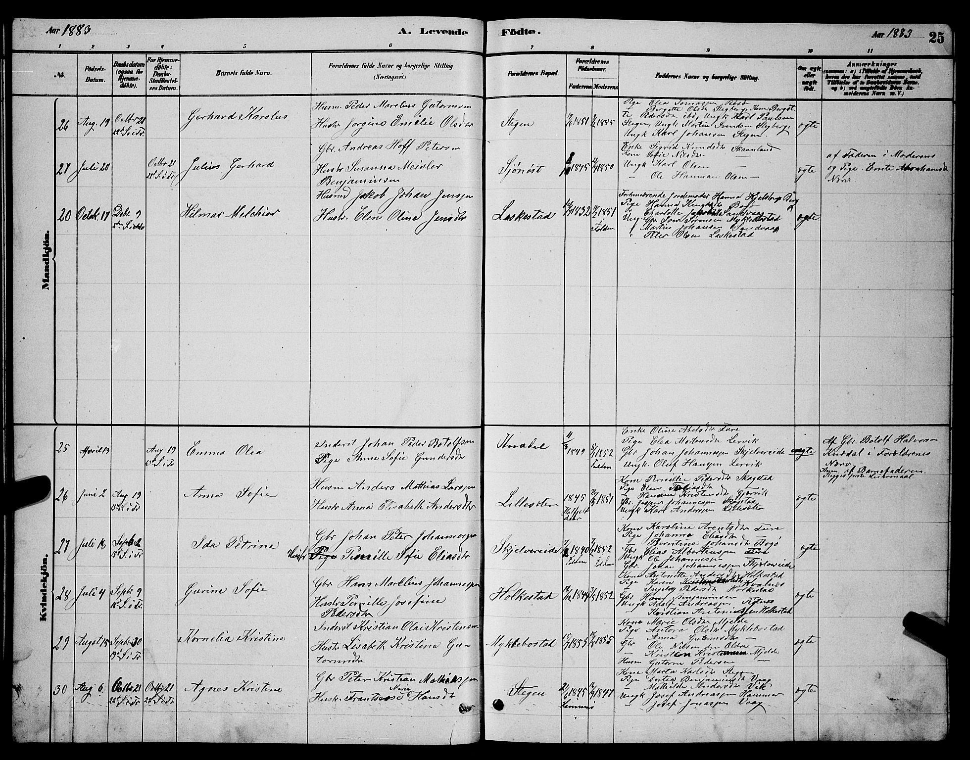 Ministerialprotokoller, klokkerbøker og fødselsregistre - Nordland, AV/SAT-A-1459/855/L0816: Klokkerbok nr. 855C05, 1879-1894, s. 25