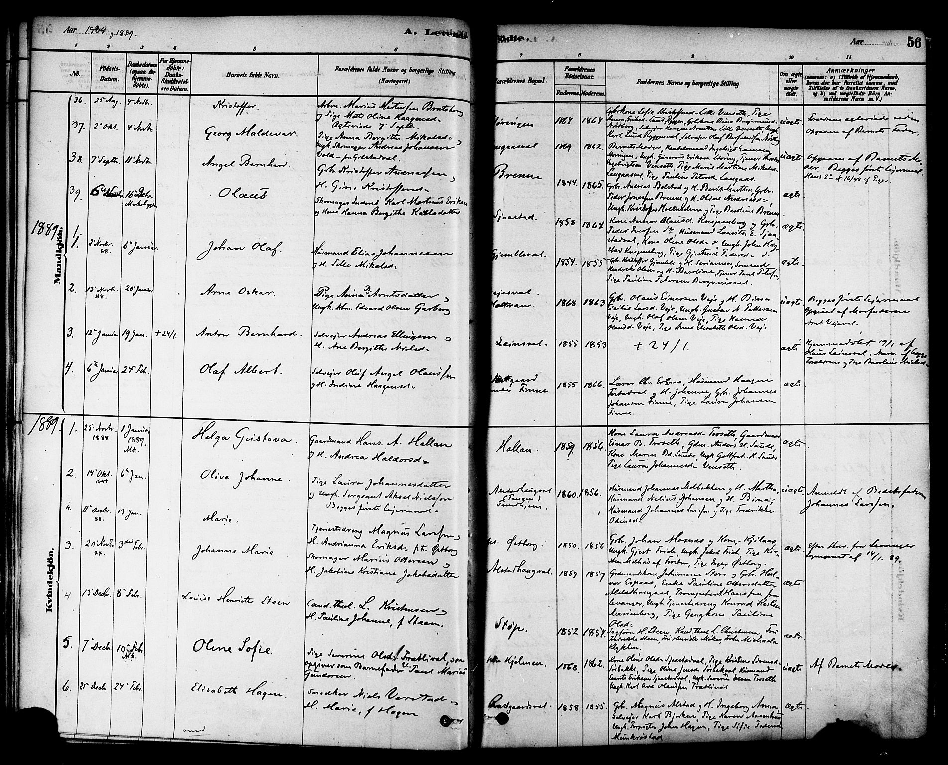Ministerialprotokoller, klokkerbøker og fødselsregistre - Nord-Trøndelag, SAT/A-1458/717/L0159: Ministerialbok nr. 717A09, 1878-1898, s. 56
