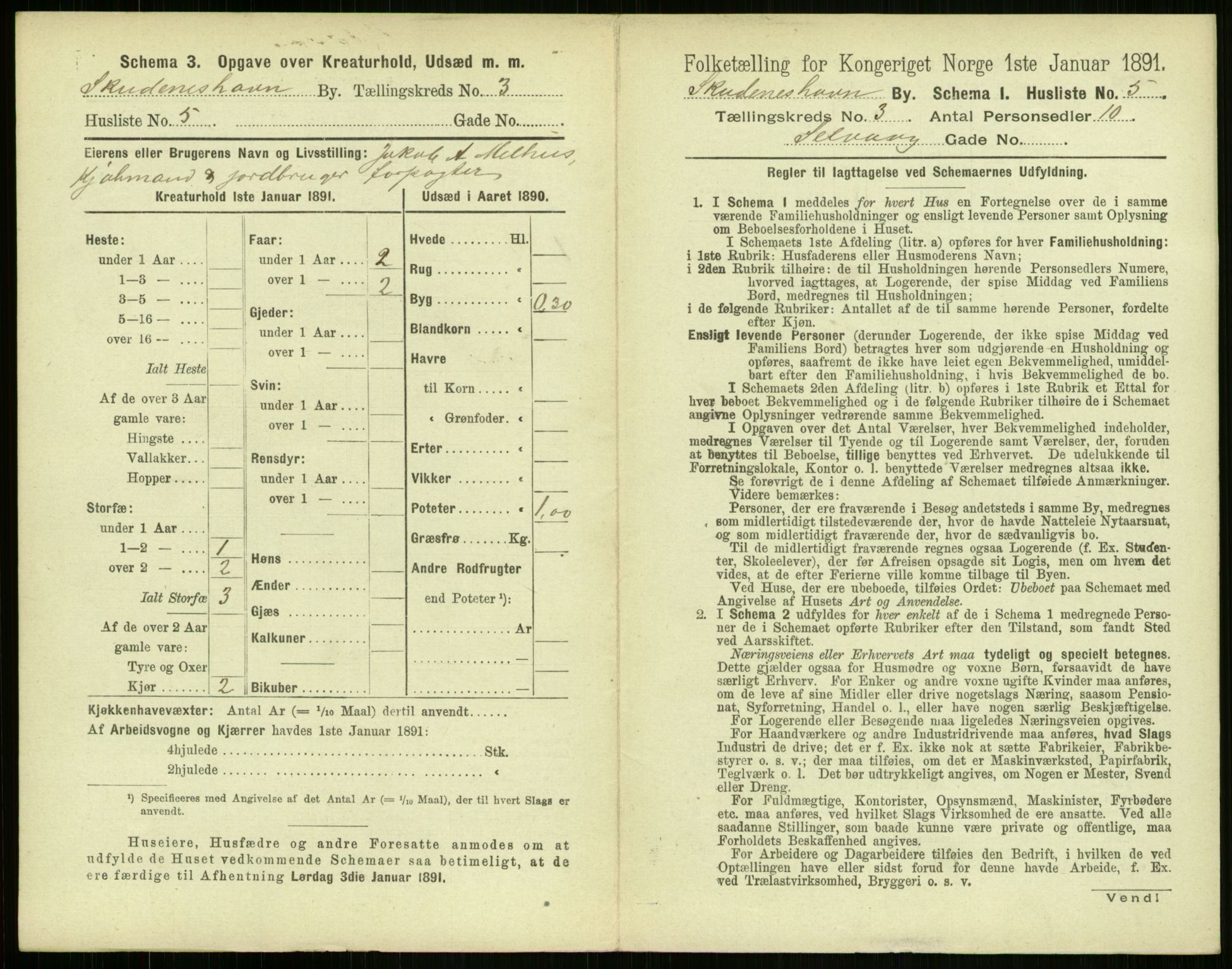 RA, Folketelling 1891 for 1104 Skudeneshavn ladested, 1891, s. 200