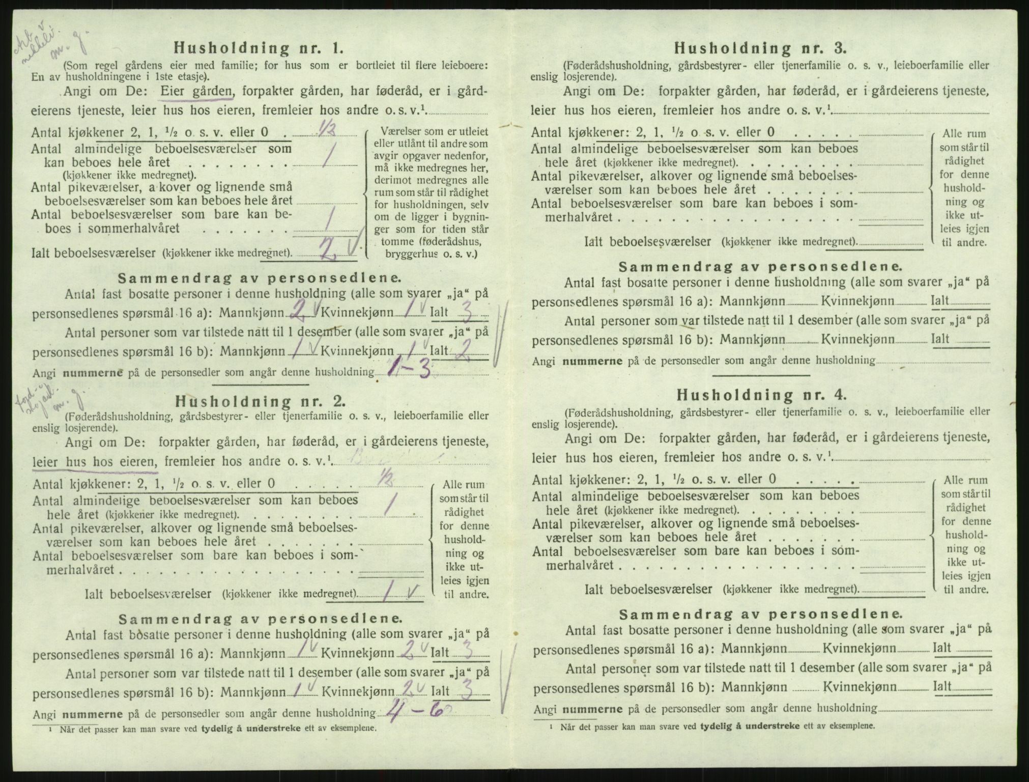 SAK, Folketelling 1920 for 0936 Hornnes herred, 1920, s. 128