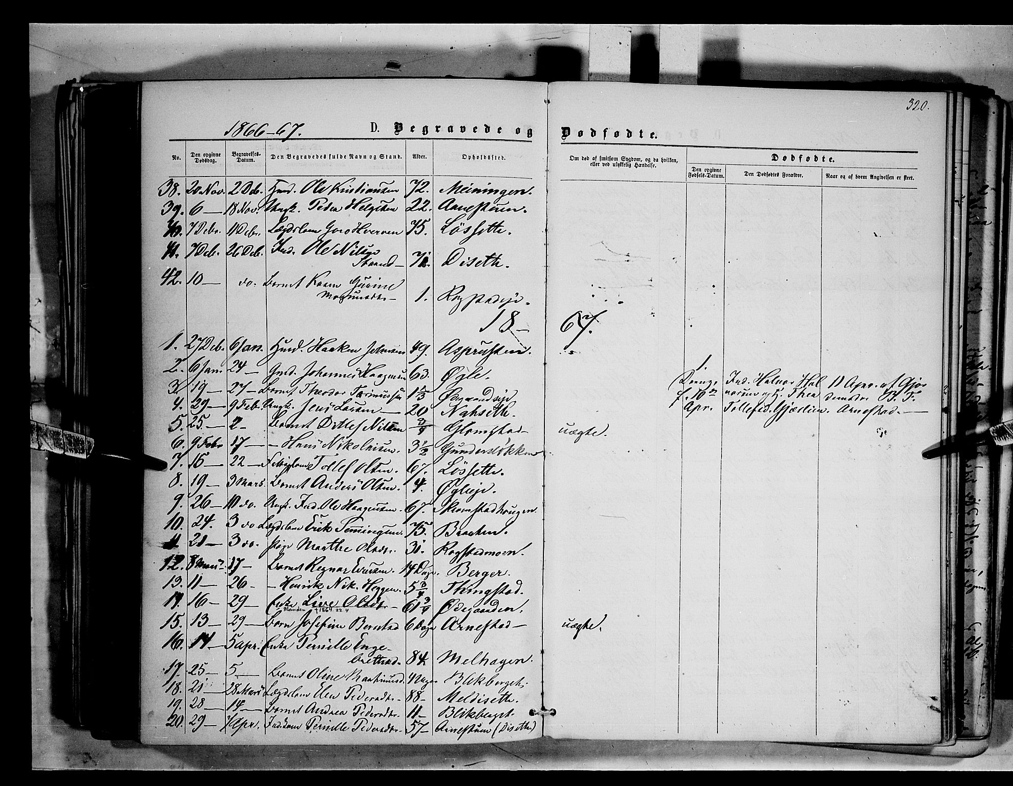Åmot prestekontor, Hedmark, AV/SAH-PREST-056/H/Ha/Haa/L0008: Ministerialbok nr. 8, 1862-1875, s. 320