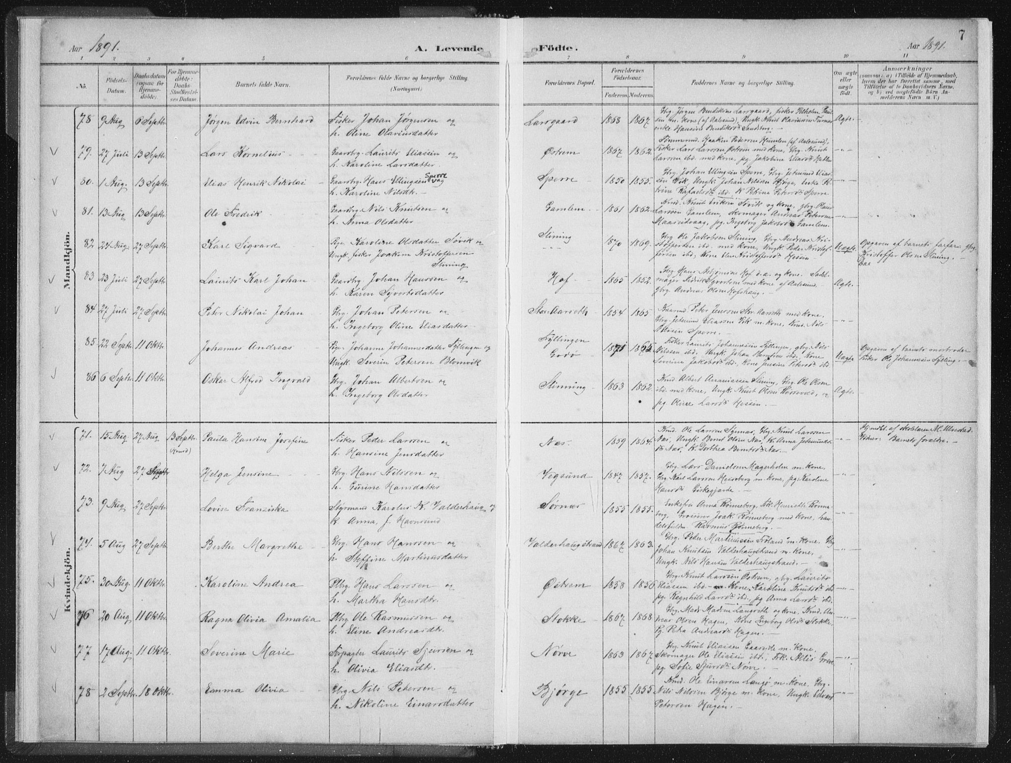 Ministerialprotokoller, klokkerbøker og fødselsregistre - Møre og Romsdal, AV/SAT-A-1454/528/L0405: Ministerialbok nr. 528A14, 1891-1906, s. 7