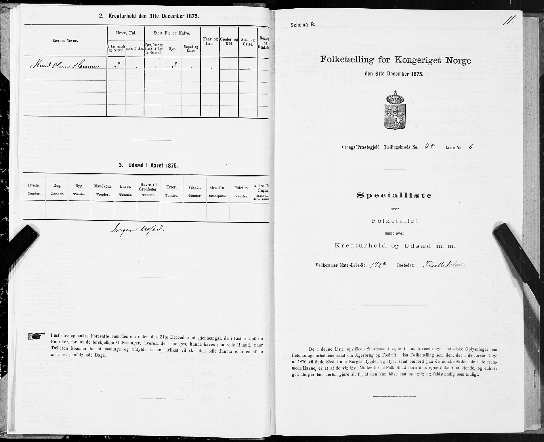 SAT, Folketelling 1875 for 1742P Grong prestegjeld, 1875, s. 3011