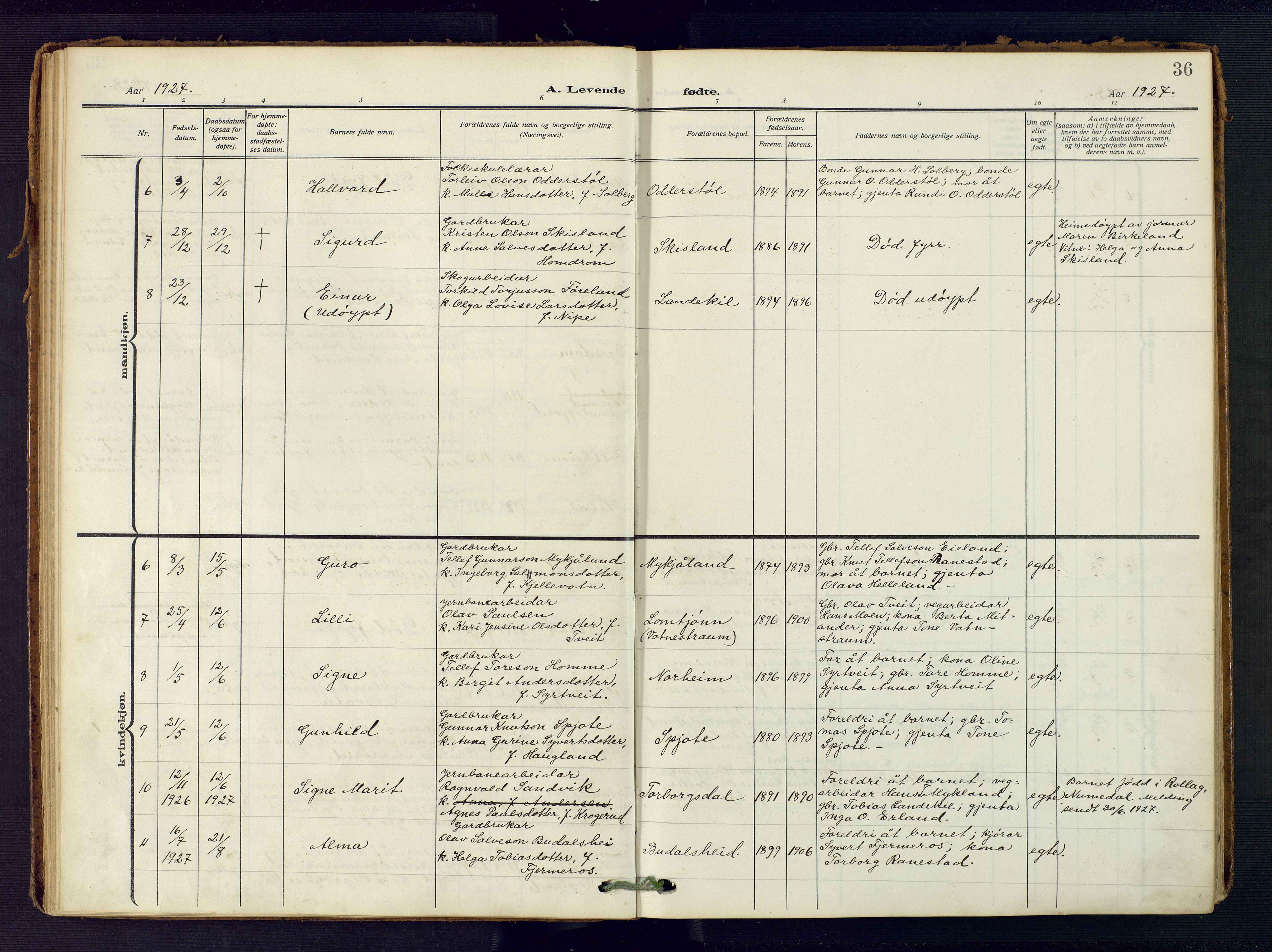 Evje sokneprestkontor, AV/SAK-1111-0008/F/Fa/Fac/L0004: Ministerialbok nr. A 4, 1910-1932, s. 36
