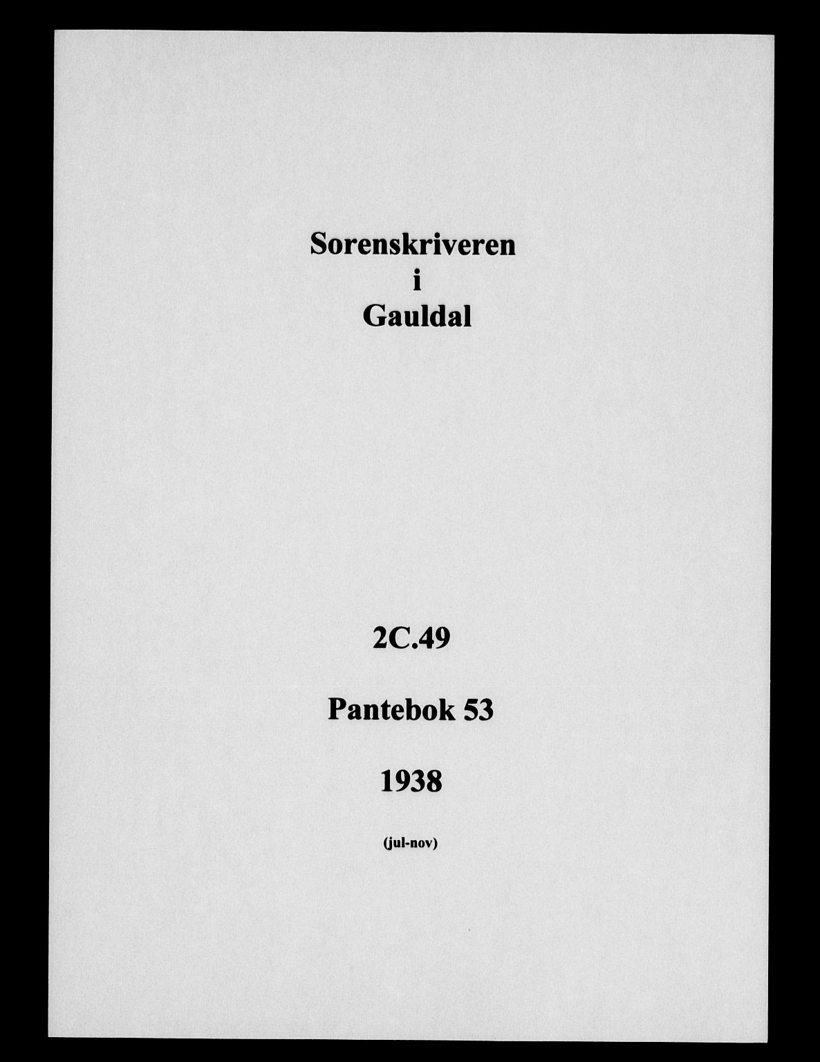 Gauldal sorenskriveri, SAT/A-0014/1/2/2C/L0049: Pantebok nr. 53, 1938-1938
