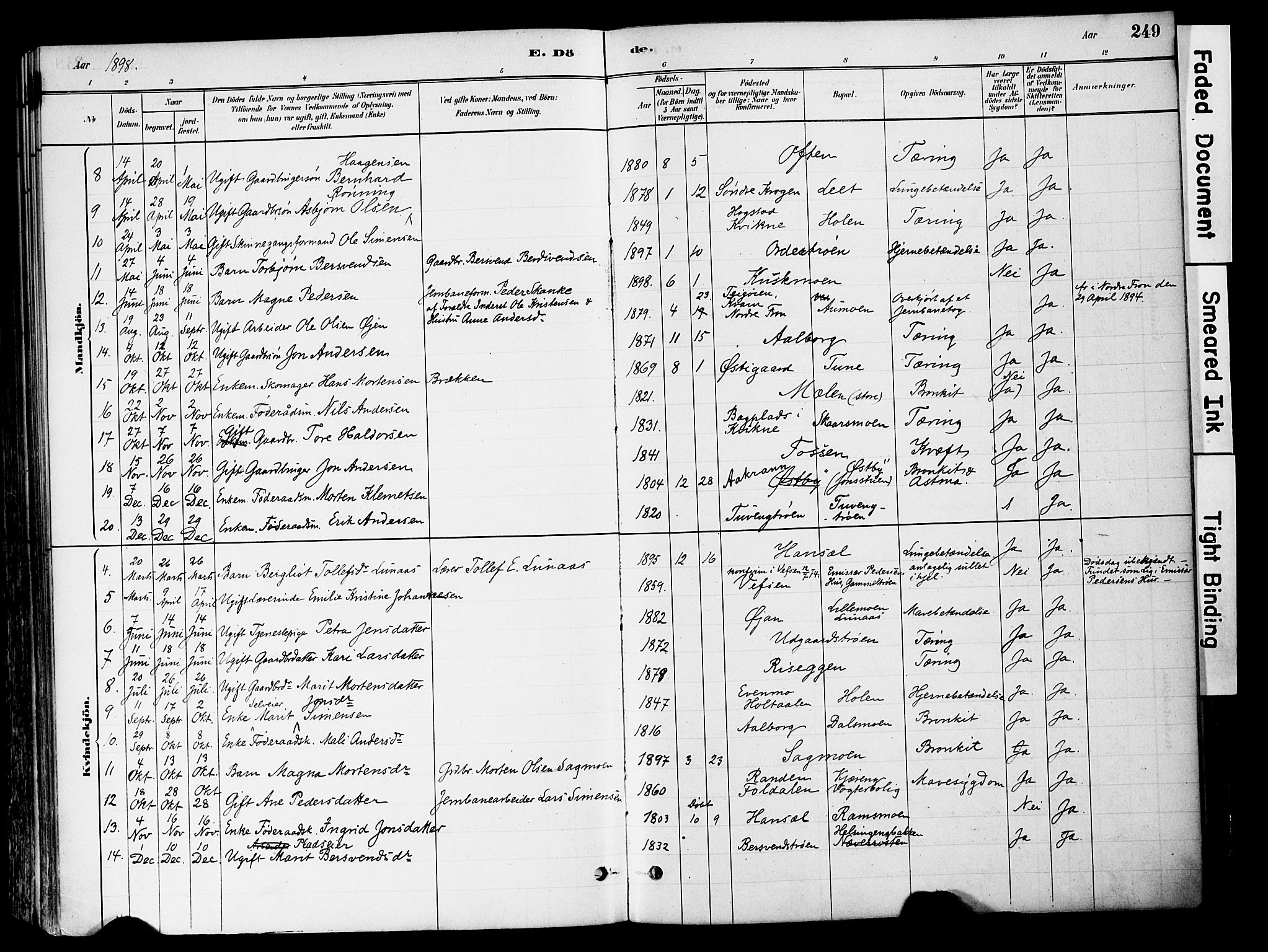 Tynset prestekontor, SAH/PREST-058/H/Ha/Haa/L0022: Ministerialbok nr. 22, 1880-1899, s. 249