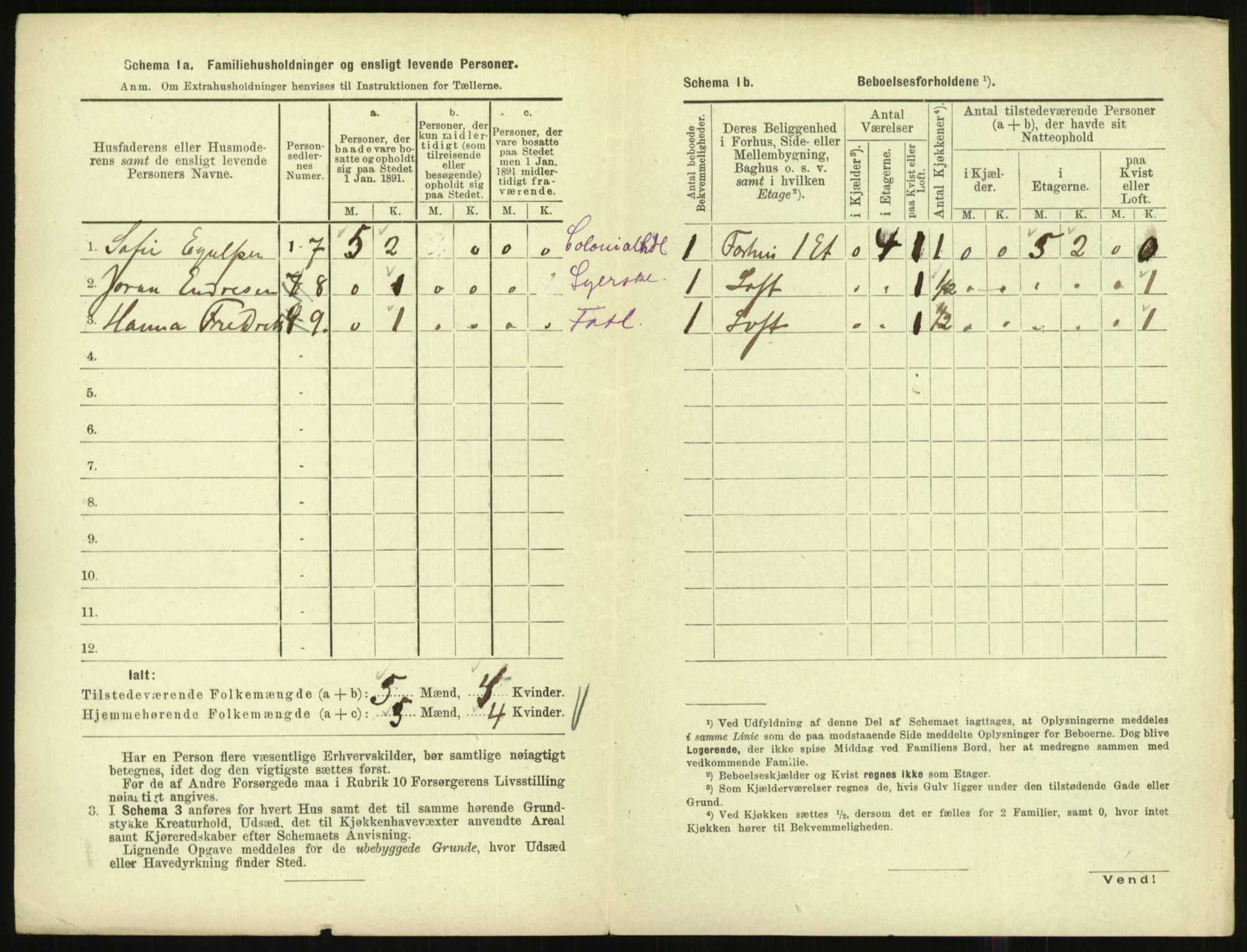 RA, Folketelling 1891 for 1002 Mandal ladested, 1891, s. 1096