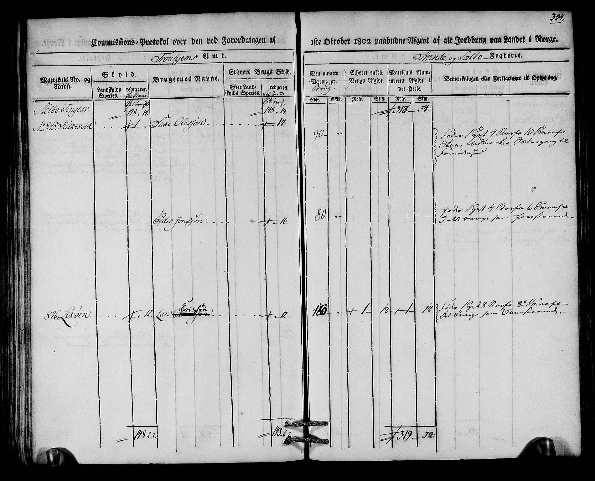 Rentekammeret inntil 1814, Realistisk ordnet avdeling, AV/RA-EA-4070/N/Ne/Nea/L0140: Strinda og Selbu fogderi. Kommisjonsprotokoll, 1803, s. 325