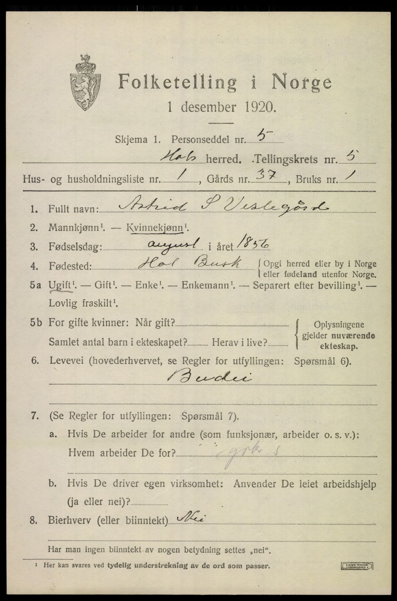 SAKO, Folketelling 1920 for 0620 Hol herred, 1920, s. 2425