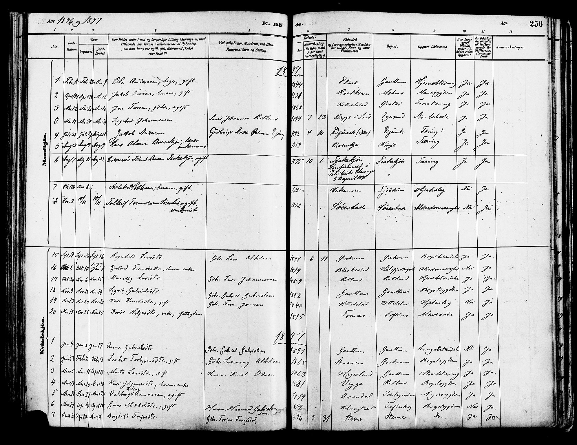 Suldal sokneprestkontor, AV/SAST-A-101845/01/IV/L0011: Ministerialbok nr. A 11, 1878-1900, s. 256