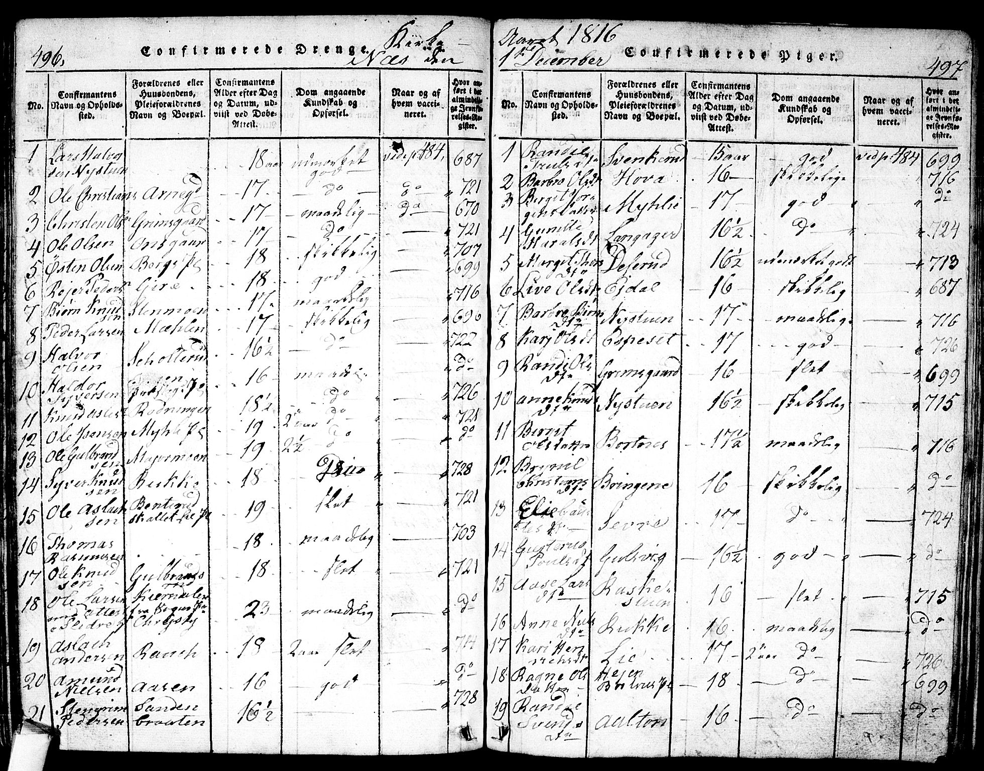 Nes kirkebøker, AV/SAKO-A-236/F/Fa/L0007: Ministerialbok nr. 7, 1815-1823, s. 496-497