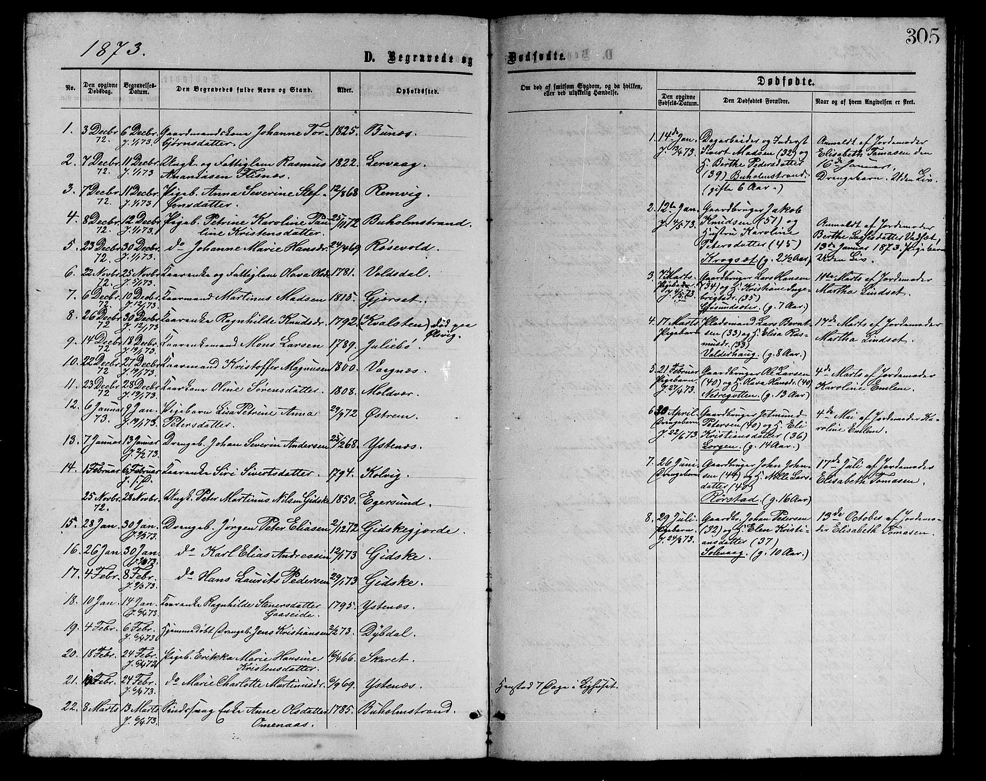 Ministerialprotokoller, klokkerbøker og fødselsregistre - Møre og Romsdal, SAT/A-1454/528/L0428: Klokkerbok nr. 528C09, 1864-1880, s. 305