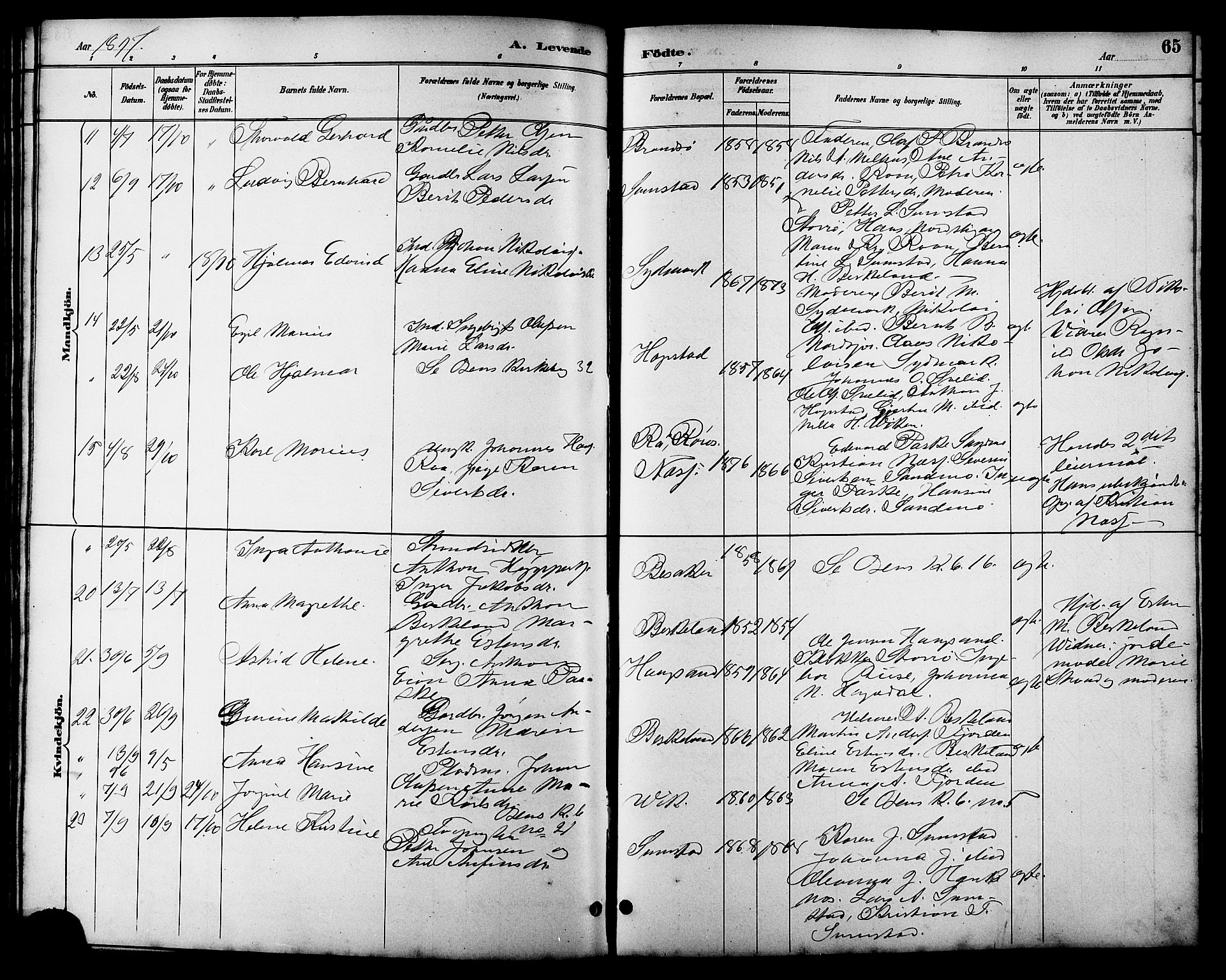 Ministerialprotokoller, klokkerbøker og fødselsregistre - Sør-Trøndelag, AV/SAT-A-1456/657/L0716: Klokkerbok nr. 657C03, 1889-1904, s. 65