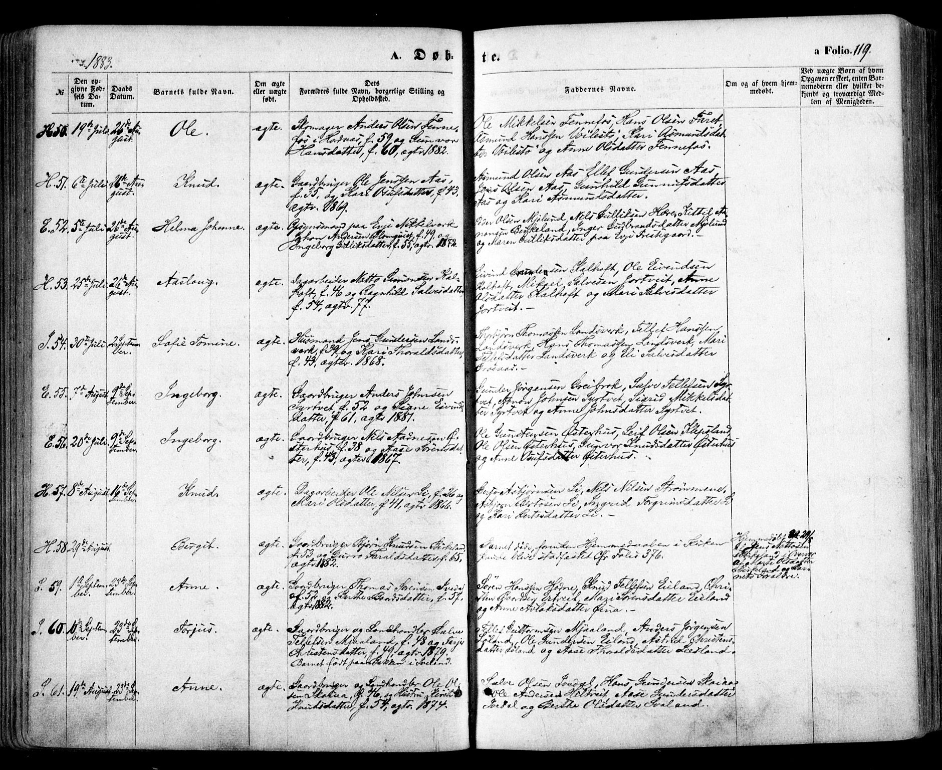 Evje sokneprestkontor, AV/SAK-1111-0008/F/Fa/Faa/L0006: Ministerialbok nr. A 6, 1866-1884, s. 119