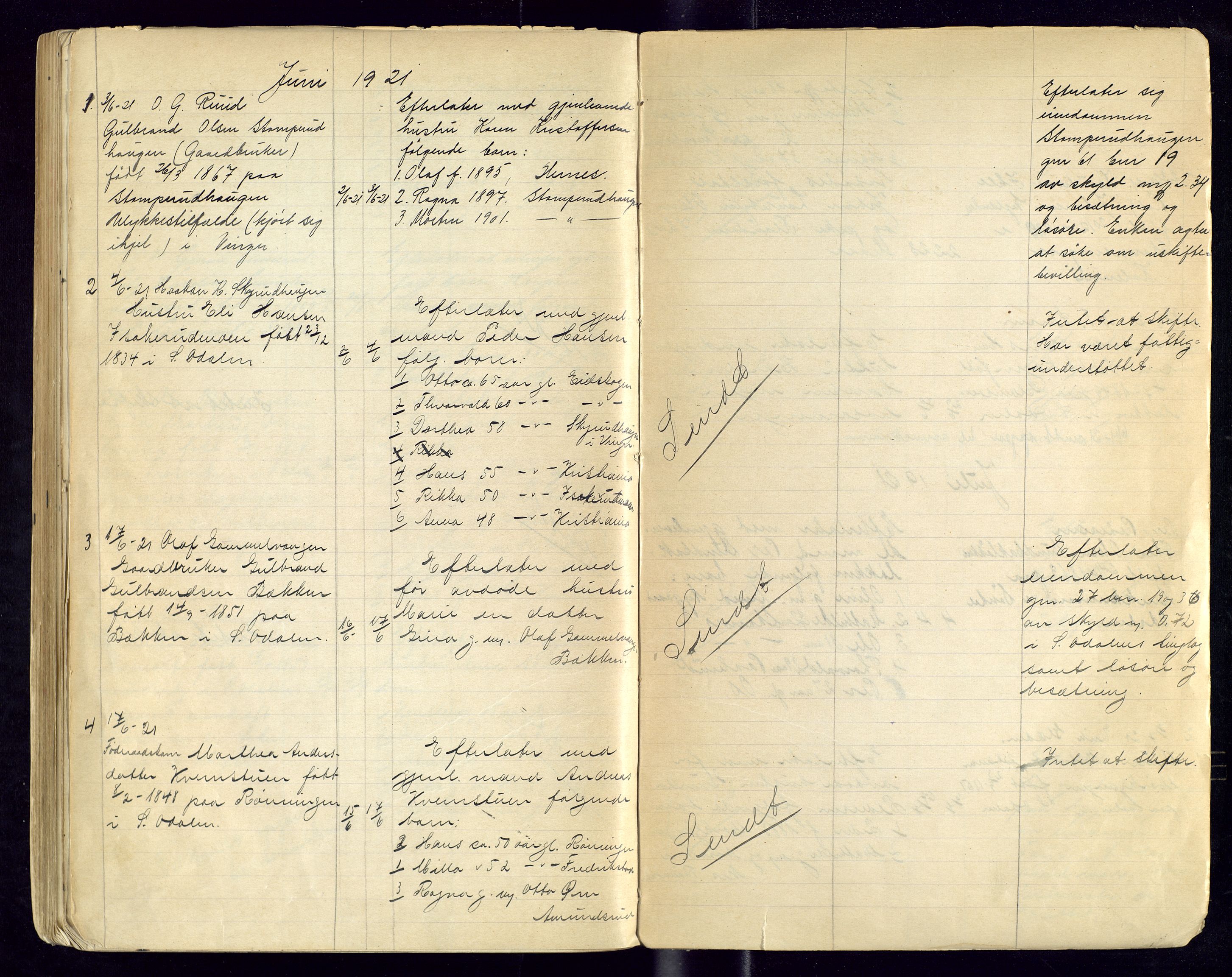 Sør-Odal lensmannskontor, AV/SAH-LHS-022/H/Hb/L0002/0002: Protokoller over anmeldte dødsfall / Protokoll over anmeldte dødsfall, 1915-1921