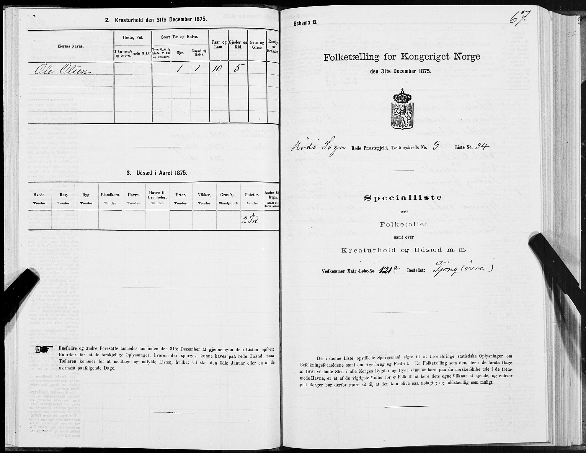 SAT, Folketelling 1875 for 1836P Rødøy prestegjeld, 1875, s. 2067