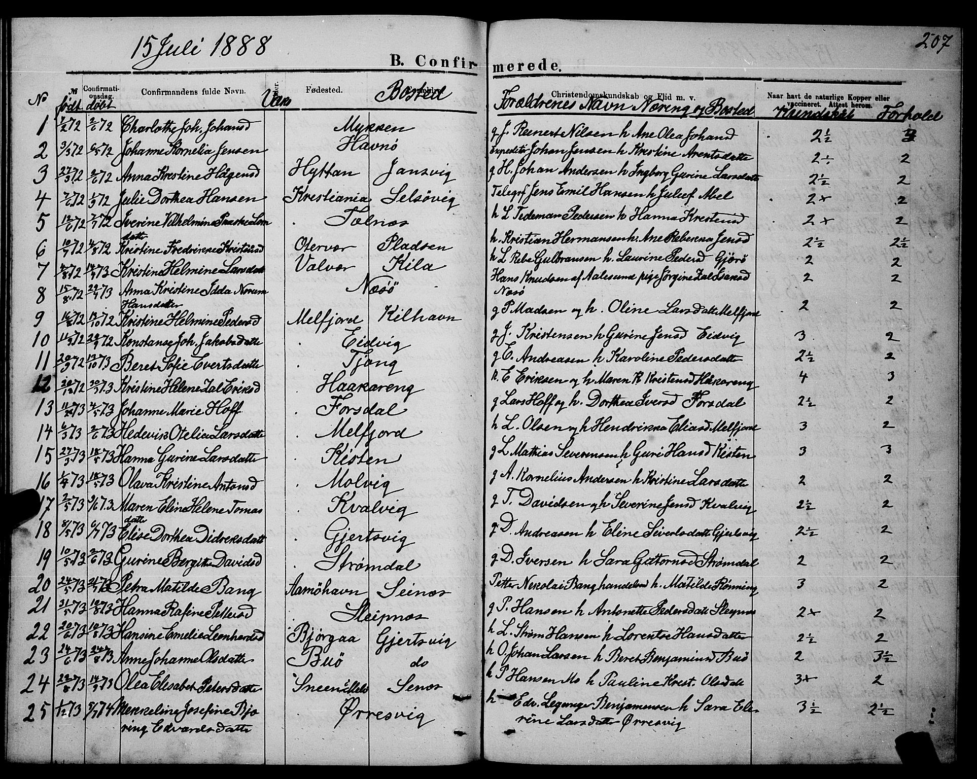 Ministerialprotokoller, klokkerbøker og fødselsregistre - Nordland, AV/SAT-A-1459/841/L0620: Klokkerbok nr. 841C04, 1877-1896, s. 207