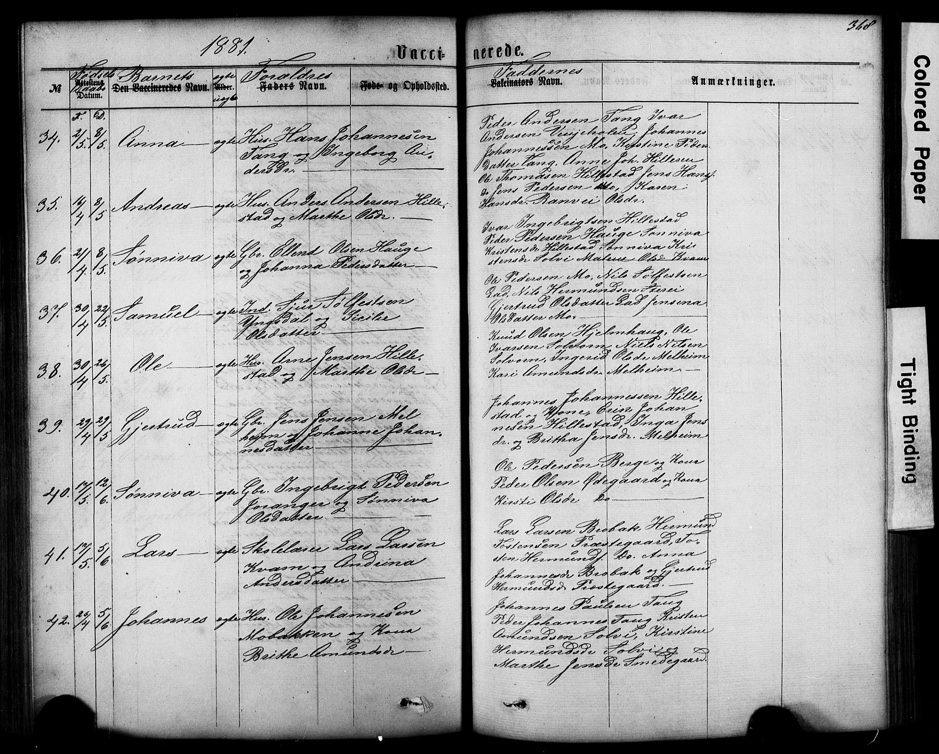 Hafslo sokneprestembete, AV/SAB-A-80301/H/Hab/Haba/L0001: Klokkerbok nr. A 1, 1866-1908, s. 368