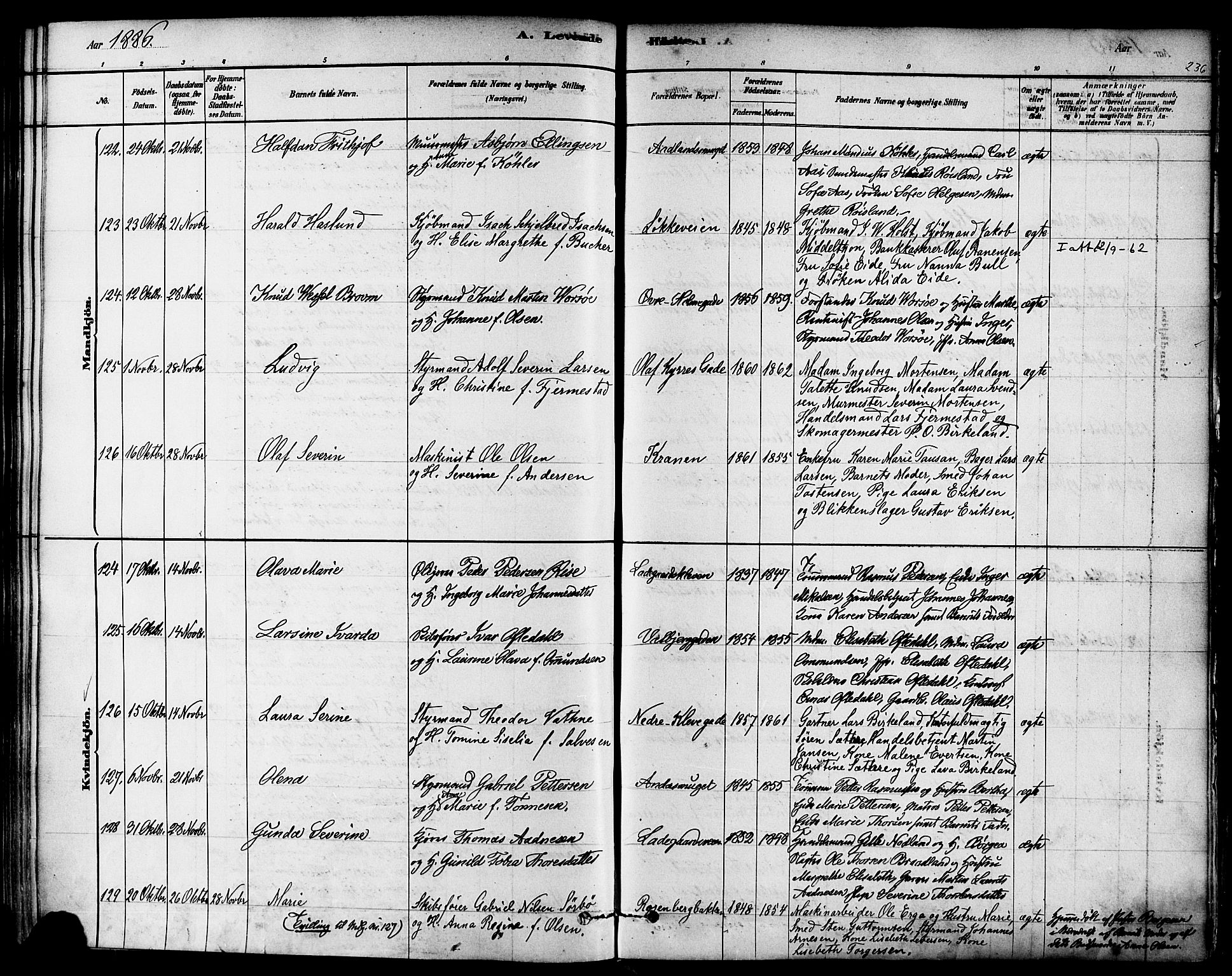 Domkirken sokneprestkontor, AV/SAST-A-101812/001/30/30BA/L0026: Ministerialbok nr. A 25, 1878-1889, s. 236