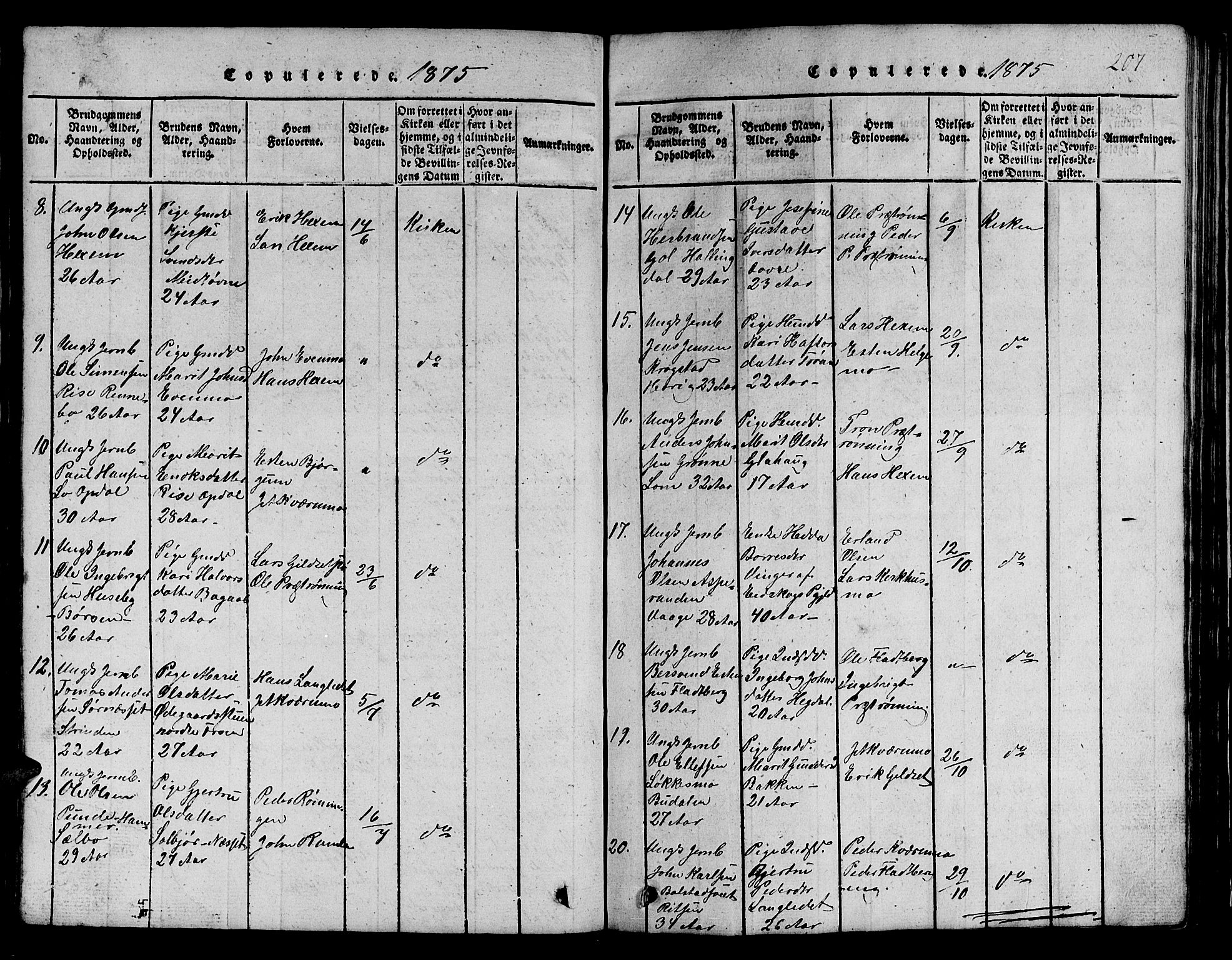 Ministerialprotokoller, klokkerbøker og fødselsregistre - Sør-Trøndelag, SAT/A-1456/685/L0976: Klokkerbok nr. 685C01, 1817-1878, s. 207