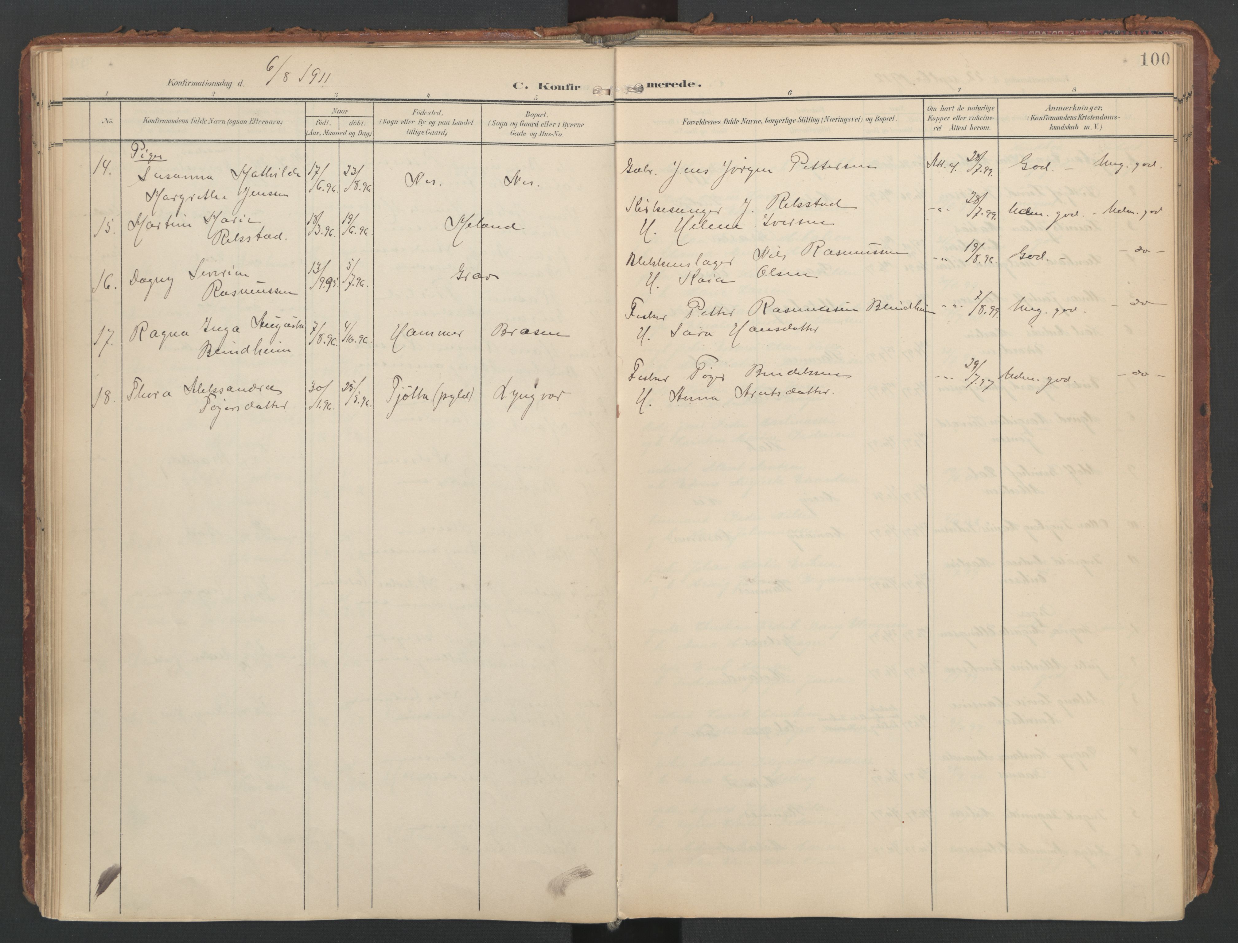 Ministerialprotokoller, klokkerbøker og fødselsregistre - Nordland, AV/SAT-A-1459/808/L0129: Ministerialbok nr. 808A02, 1903-1931, s. 100