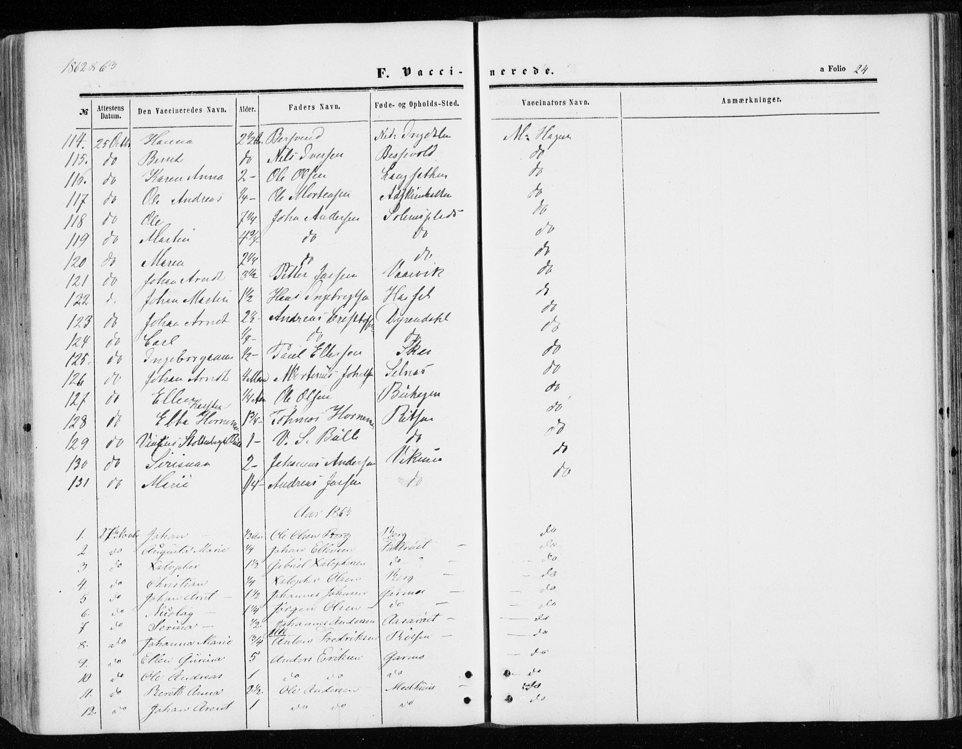 Ministerialprotokoller, klokkerbøker og fødselsregistre - Sør-Trøndelag, AV/SAT-A-1456/646/L0612: Ministerialbok nr. 646A10, 1858-1869, s. 24