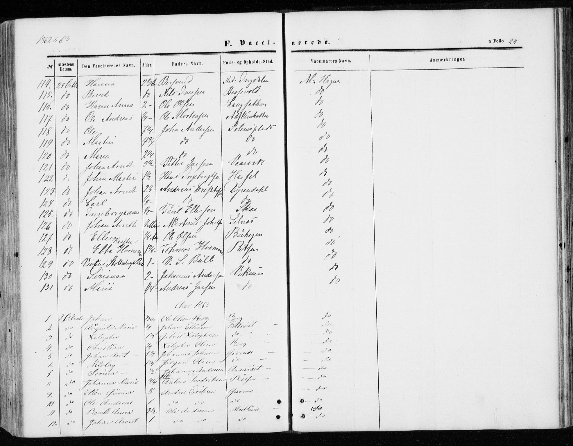 Ministerialprotokoller, klokkerbøker og fødselsregistre - Sør-Trøndelag, SAT/A-1456/646/L0612: Ministerialbok nr. 646A10, 1858-1869, s. 24