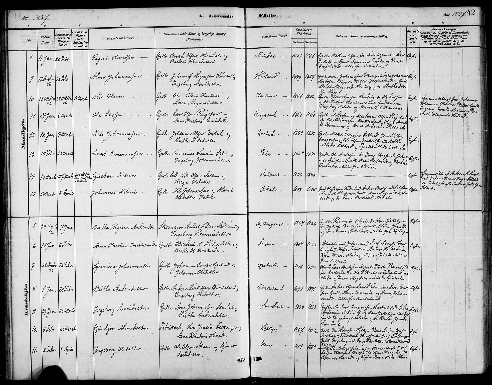 Hamre sokneprestembete, AV/SAB-A-75501/H/Ha/Hab: Klokkerbok nr. B 3, 1881-1898, s. 42