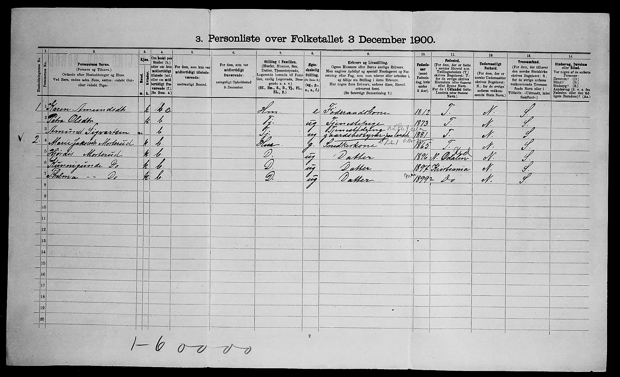 SAO, Folketelling 1900 for 0236 Nes herred, 1900