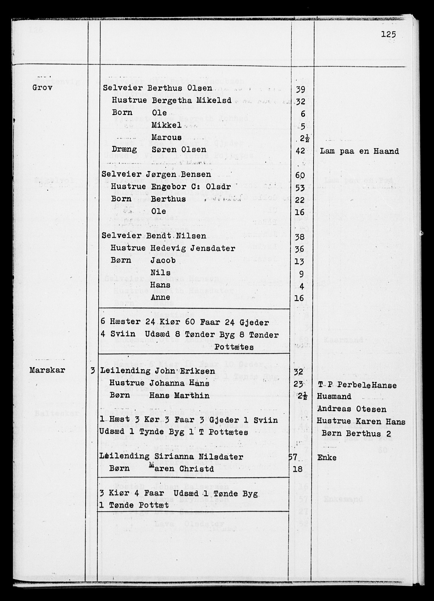 SATØ, Folketelling 1845 for 1917P Ibestad prestegjeld, 1845, s. 125