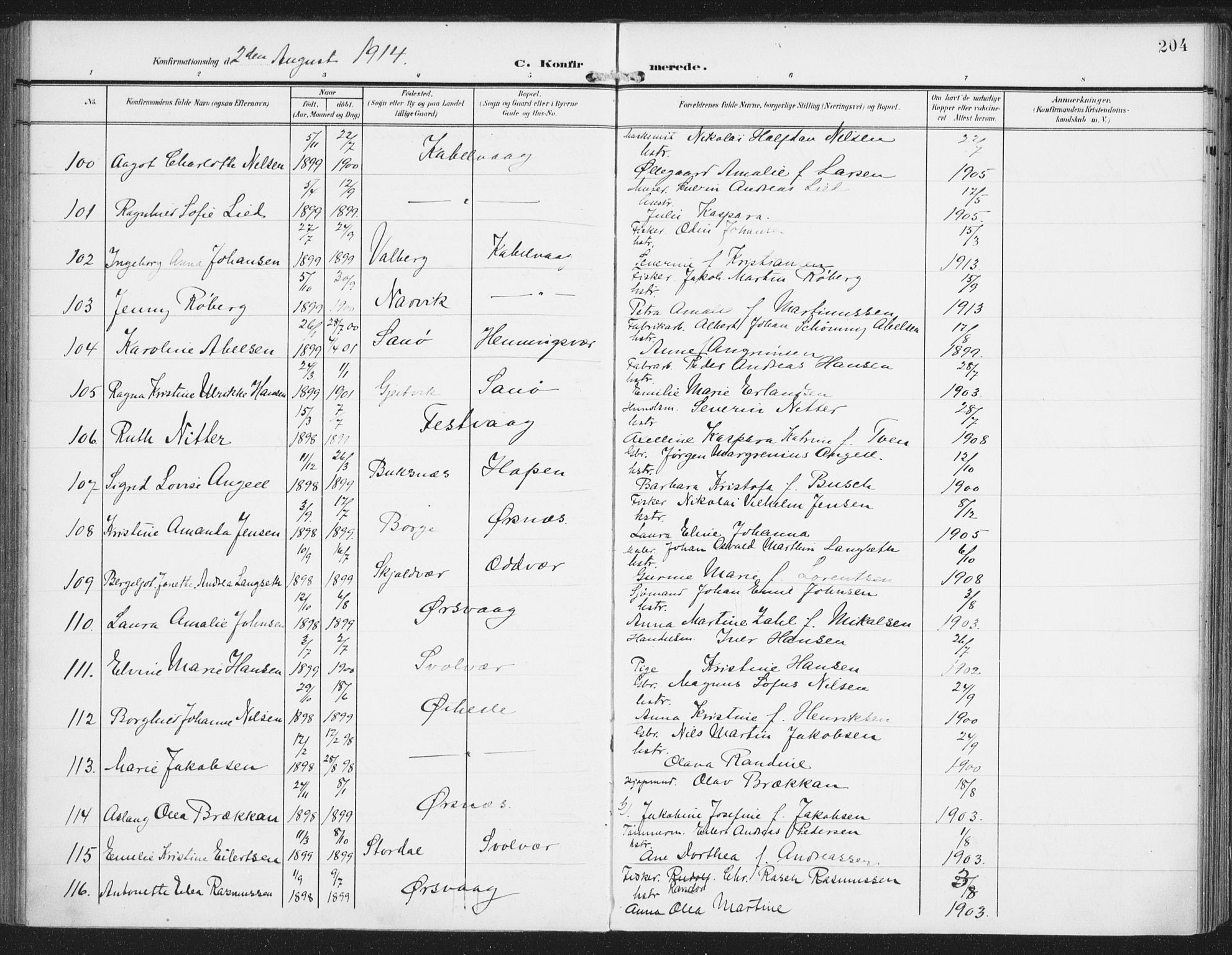 Ministerialprotokoller, klokkerbøker og fødselsregistre - Nordland, AV/SAT-A-1459/874/L1063: Ministerialbok nr. 874A07, 1907-1915, s. 204