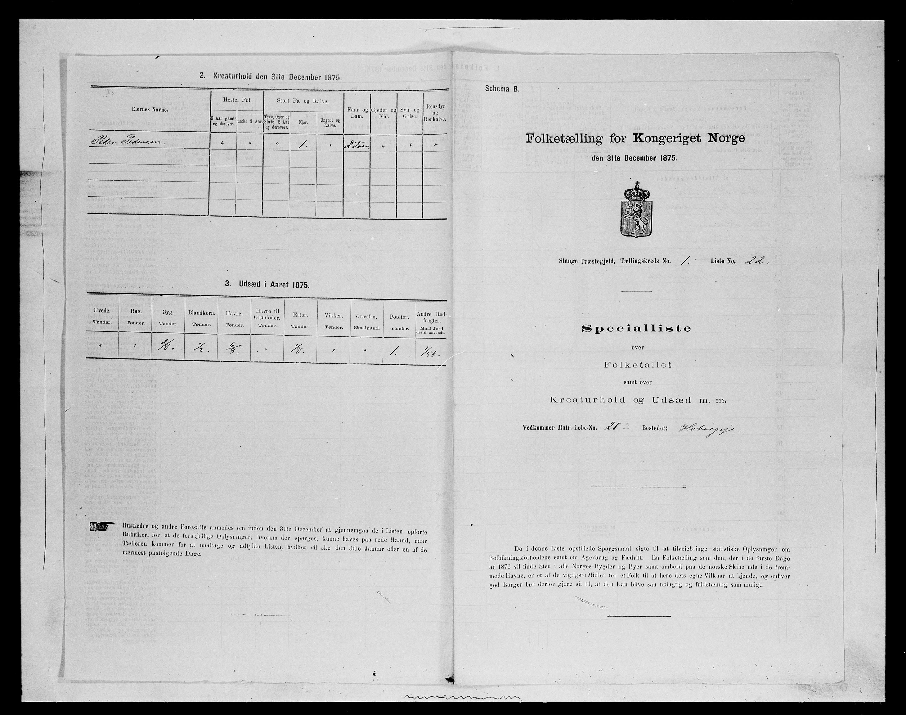 SAH, Folketelling 1875 for 0417P Stange prestegjeld, 1875, s. 144