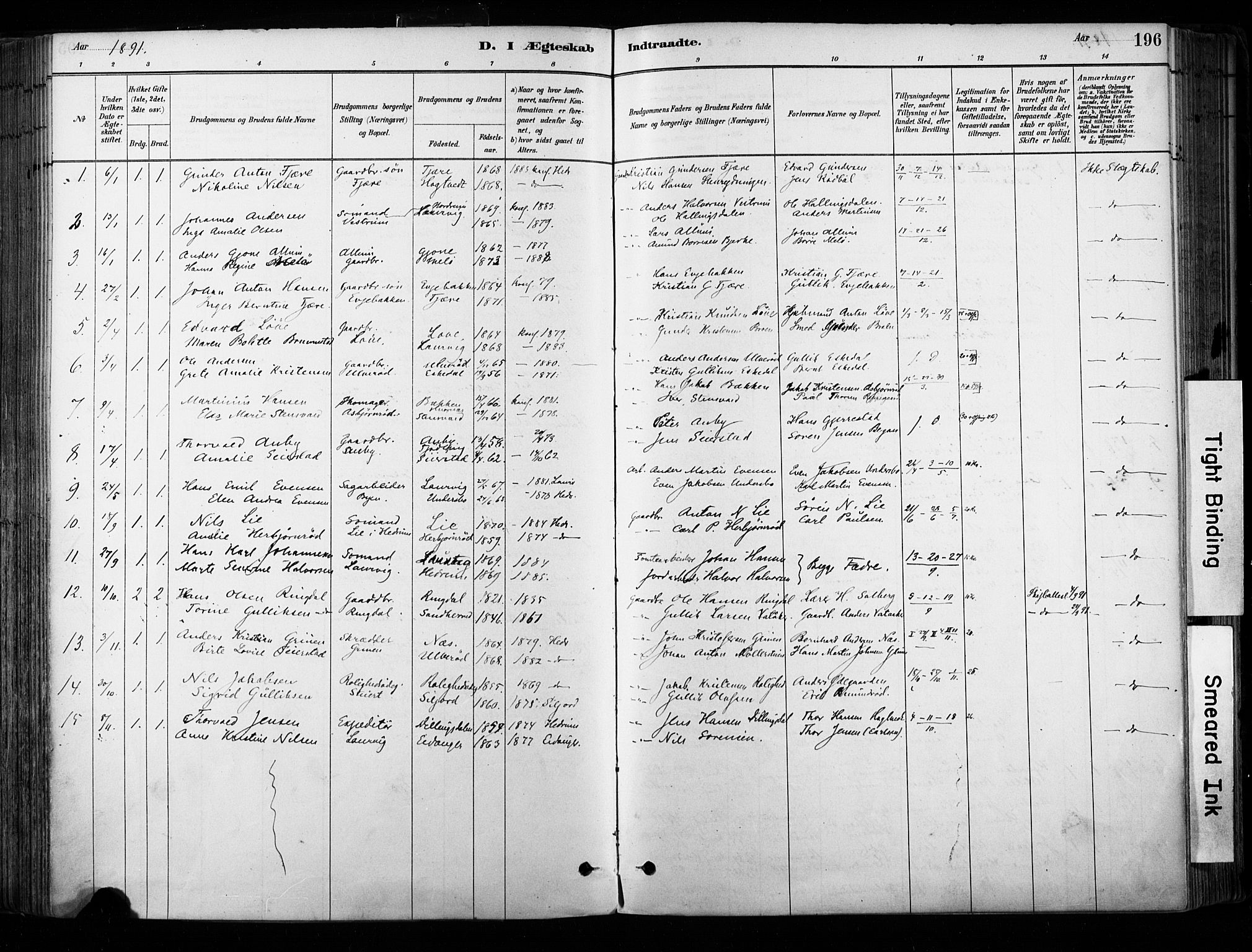 Hedrum kirkebøker, AV/SAKO-A-344/F/Fa/L0009: Ministerialbok nr. I 9, 1881-1903, s. 196