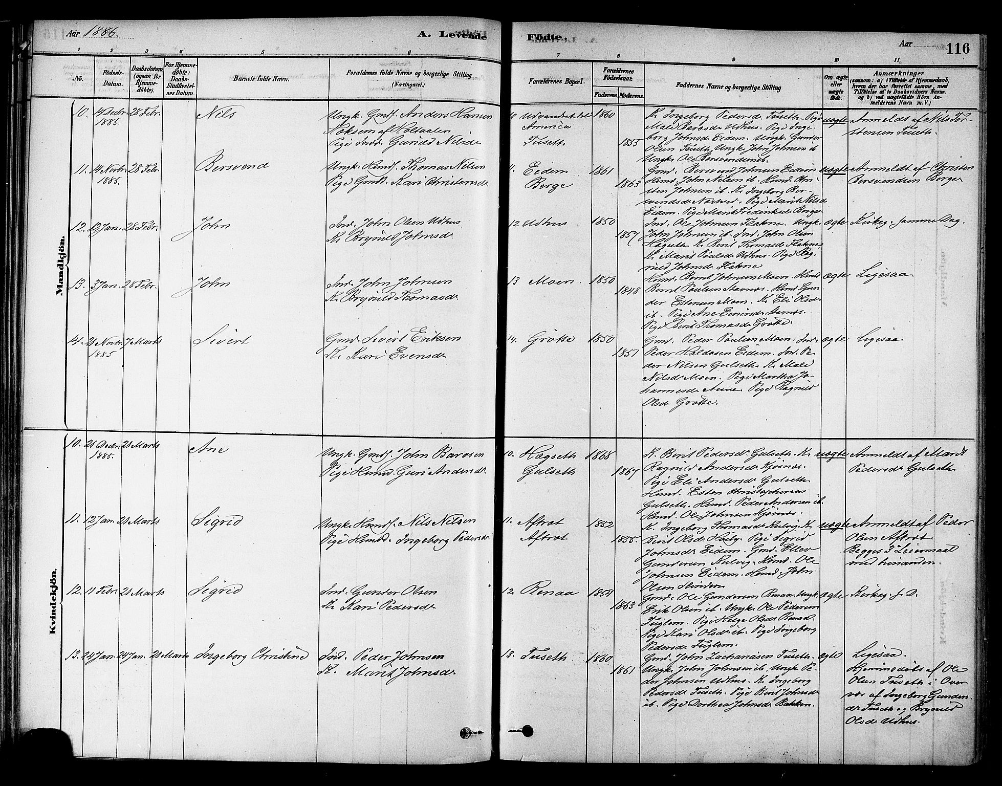Ministerialprotokoller, klokkerbøker og fødselsregistre - Sør-Trøndelag, AV/SAT-A-1456/695/L1148: Ministerialbok nr. 695A08, 1878-1891, s. 116