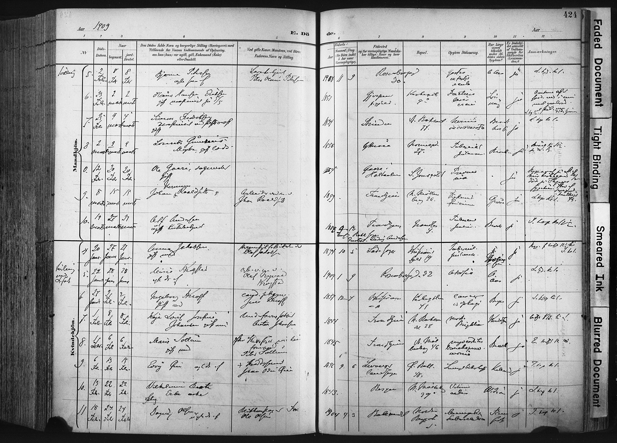 Ministerialprotokoller, klokkerbøker og fødselsregistre - Sør-Trøndelag, SAT/A-1456/604/L0201: Ministerialbok nr. 604A21, 1901-1911, s. 424