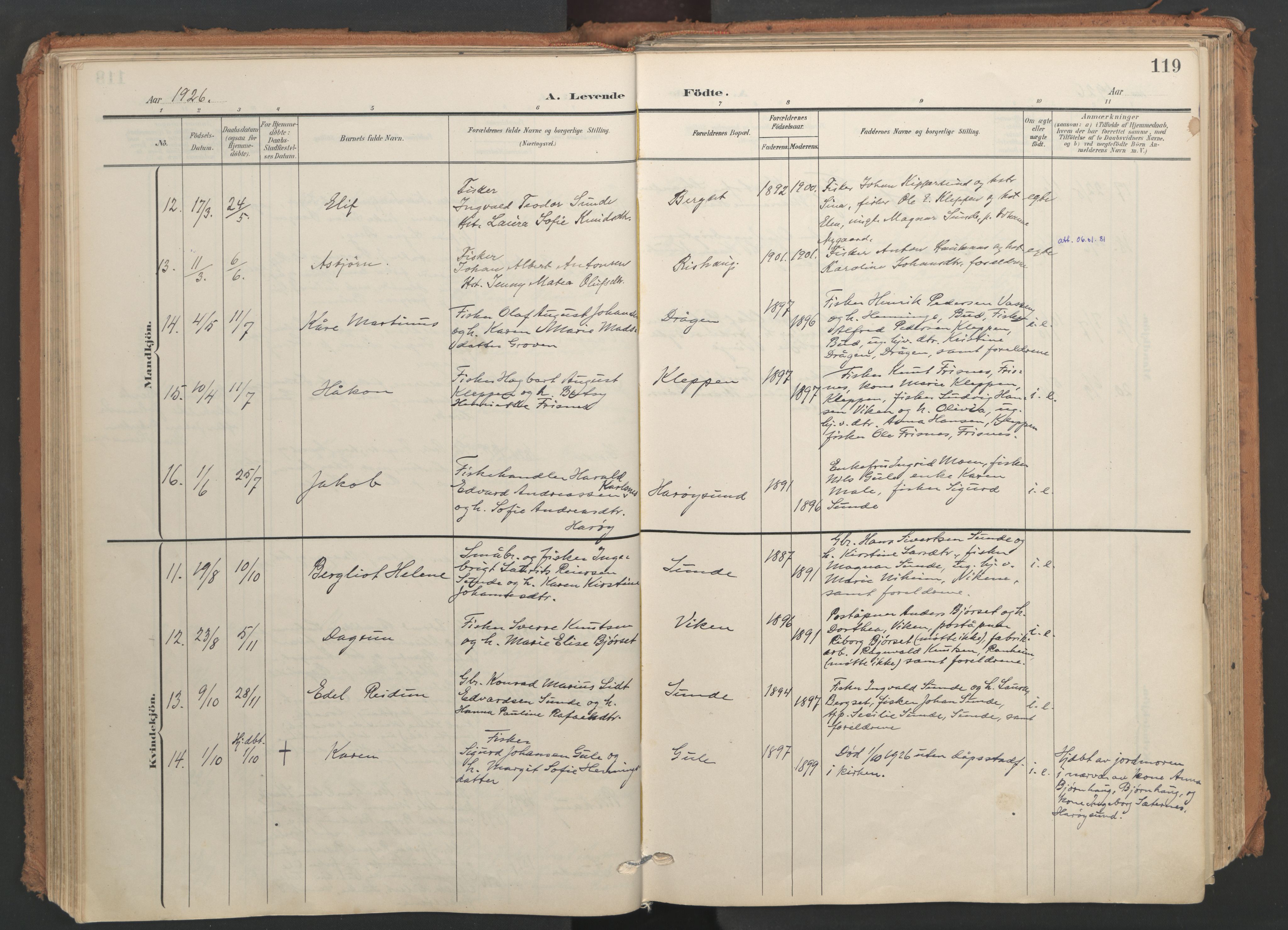 Ministerialprotokoller, klokkerbøker og fødselsregistre - Møre og Romsdal, AV/SAT-A-1454/566/L0771: Ministerialbok nr. 566A10, 1904-1929, s. 119