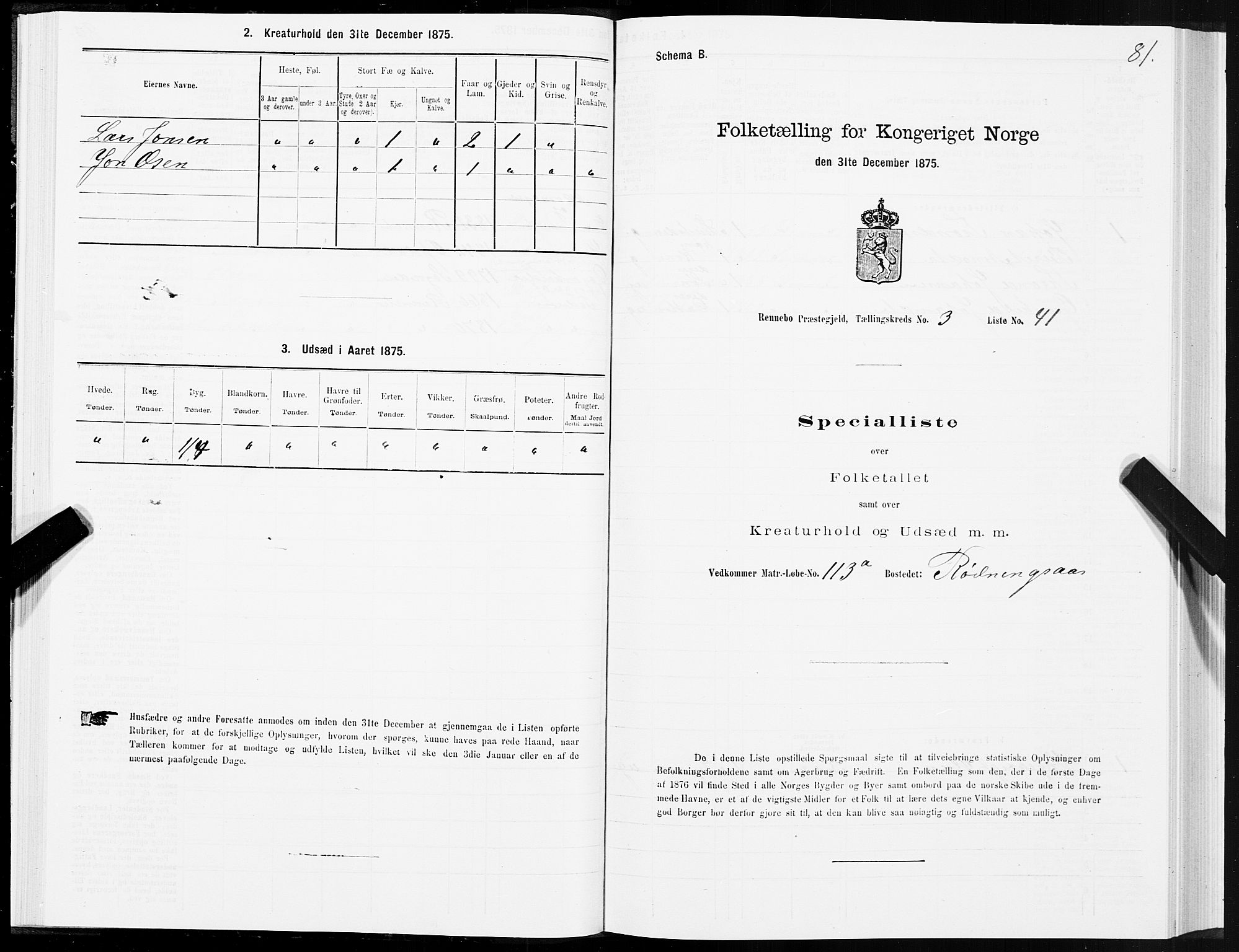 SAT, Folketelling 1875 for 1635P Rennebu prestegjeld, 1875, s. 2081