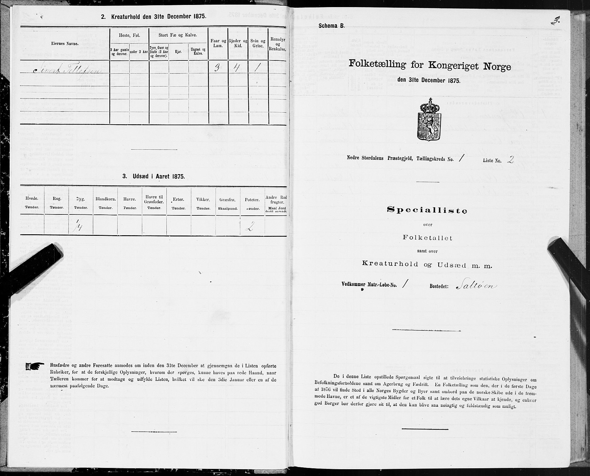 SAT, Folketelling 1875 for 1714P Nedre Stjørdal prestegjeld, 1875, s. 1003