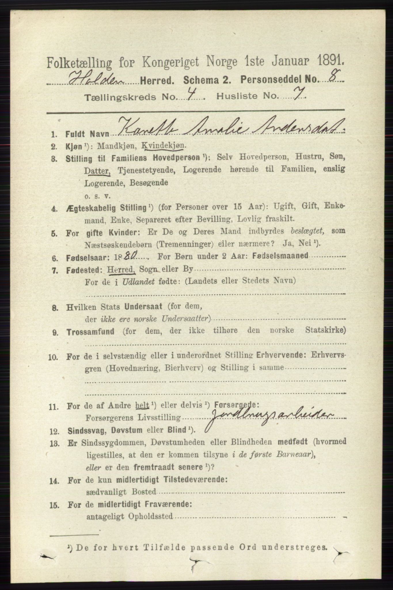 RA, Folketelling 1891 for 0819 Holla herred, 1891, s. 2295