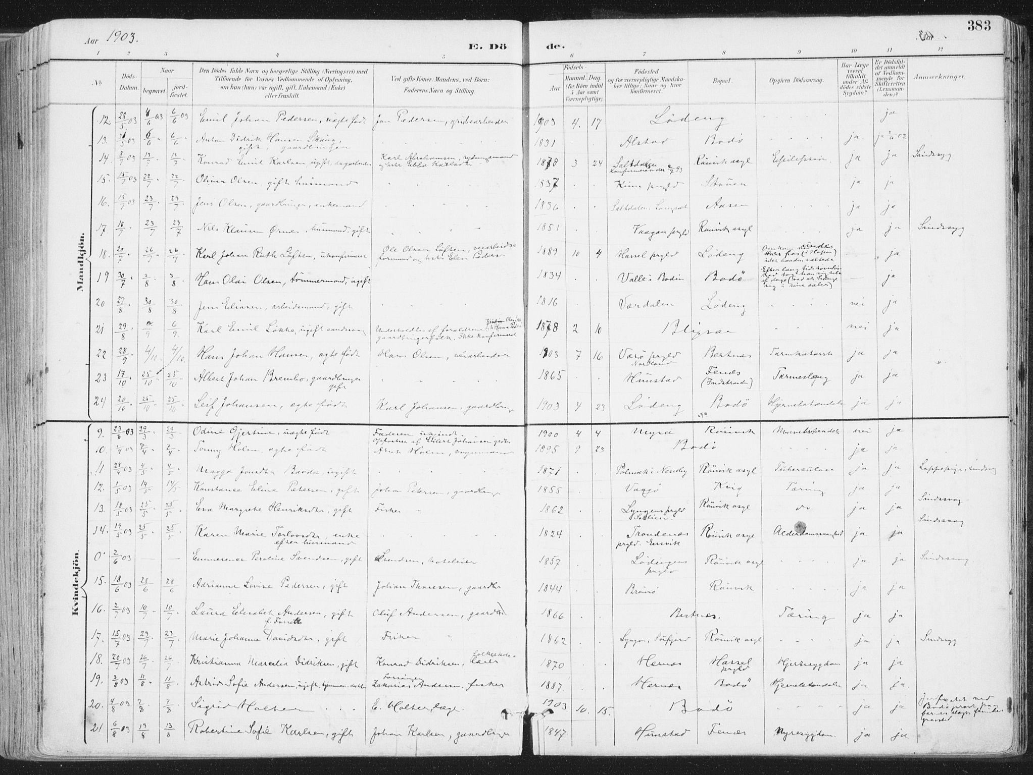 Ministerialprotokoller, klokkerbøker og fødselsregistre - Nordland, SAT/A-1459/802/L0055: Ministerialbok nr. 802A02, 1894-1915, s. 383