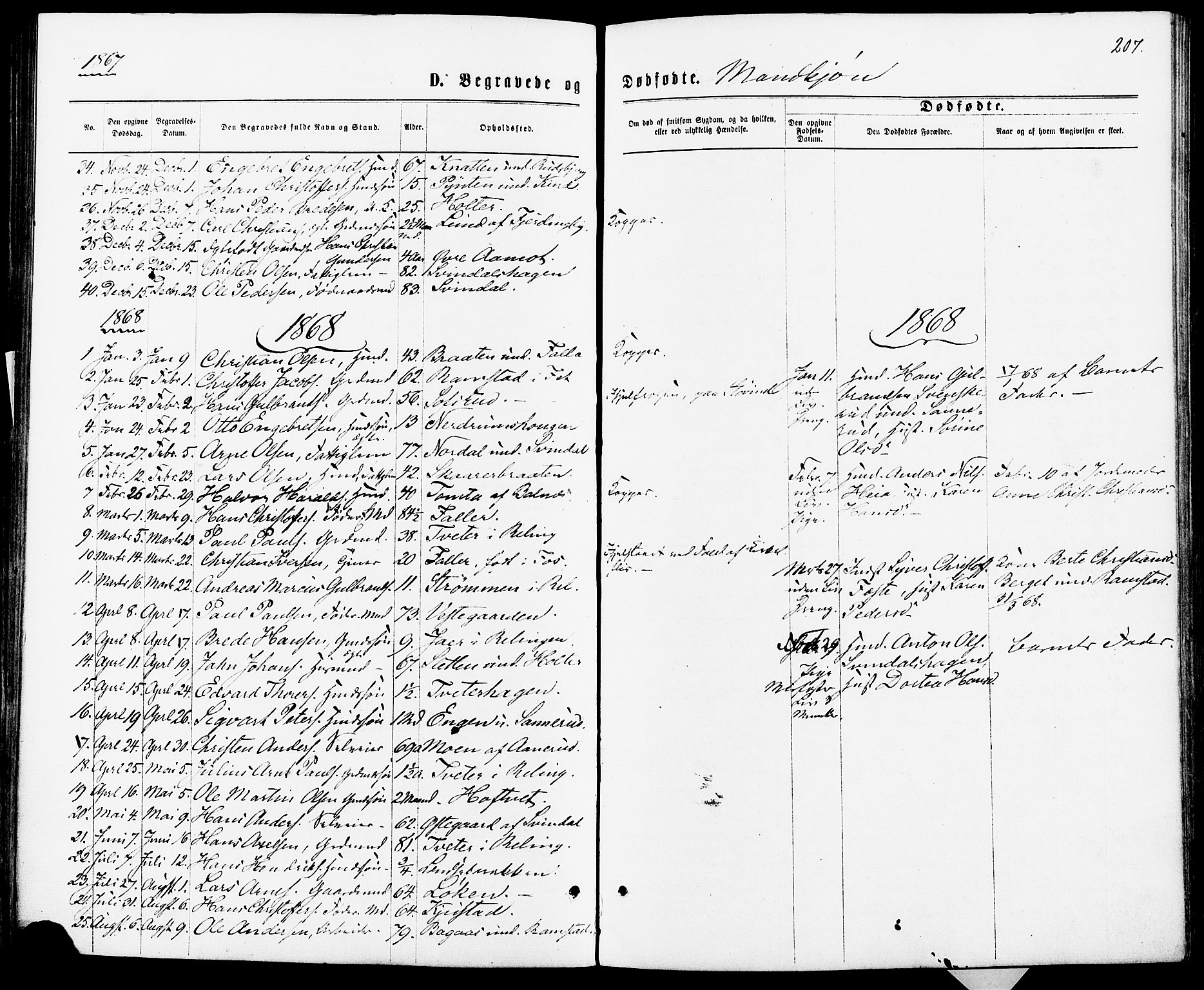 Fet prestekontor Kirkebøker, AV/SAO-A-10370a/F/Fa/L0013: Ministerialbok nr. I 13, 1867-1877, s. 207
